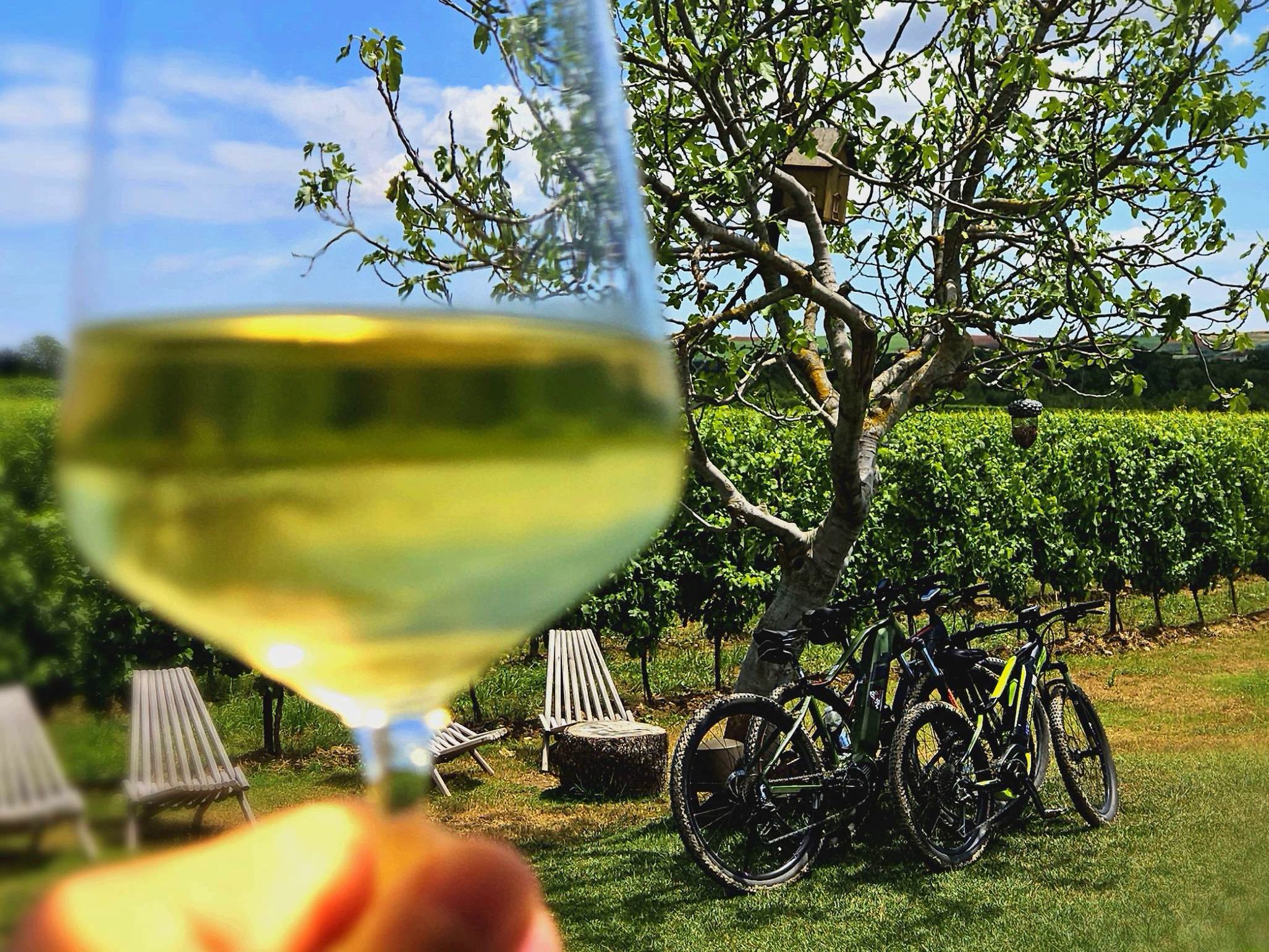 Велотур Велосипед и море - активный отдых в Италии (24/53)