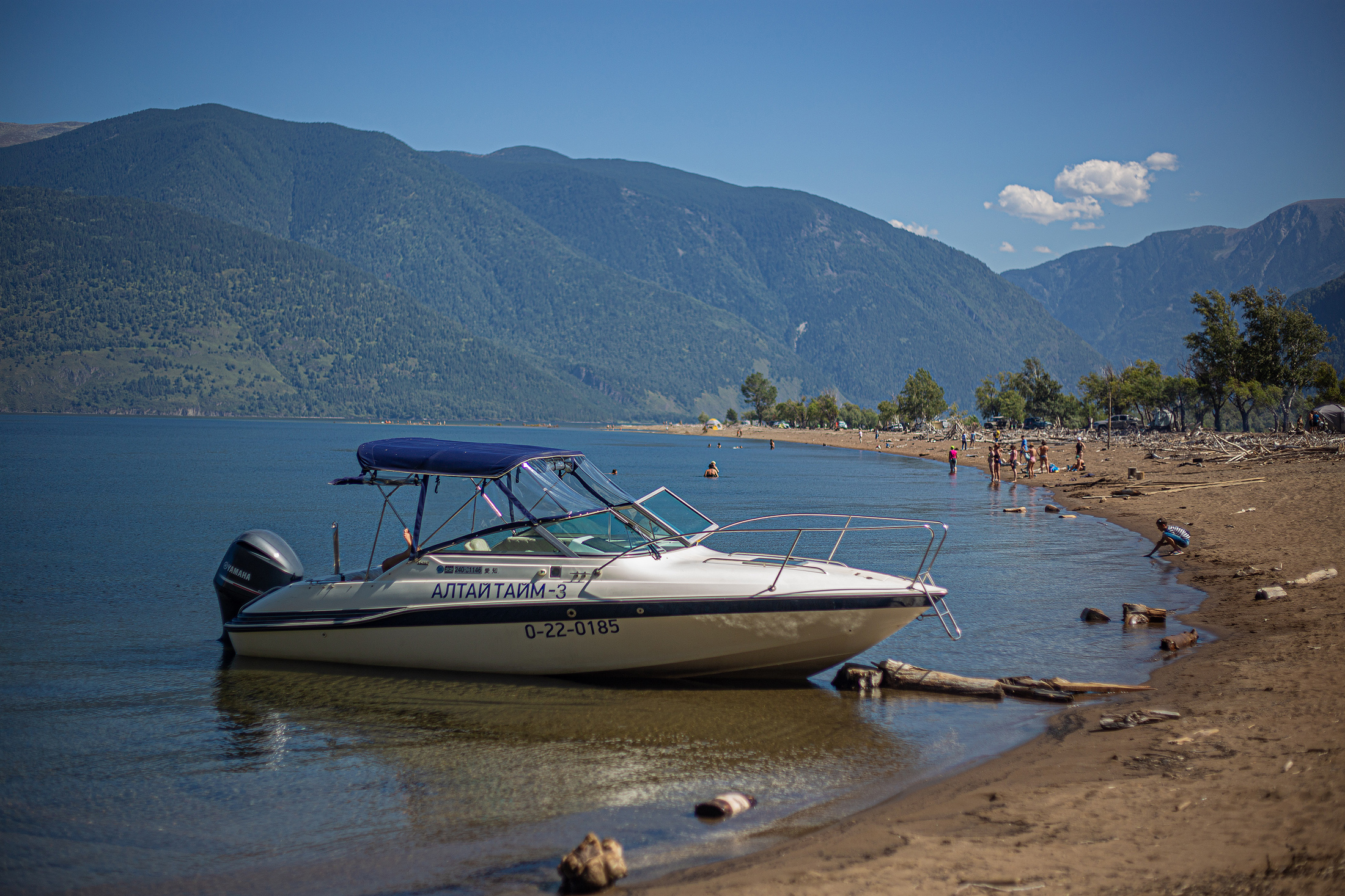 В кругосветку по Алтаю! 2026 Посмотри весь Алтай! (22/110)