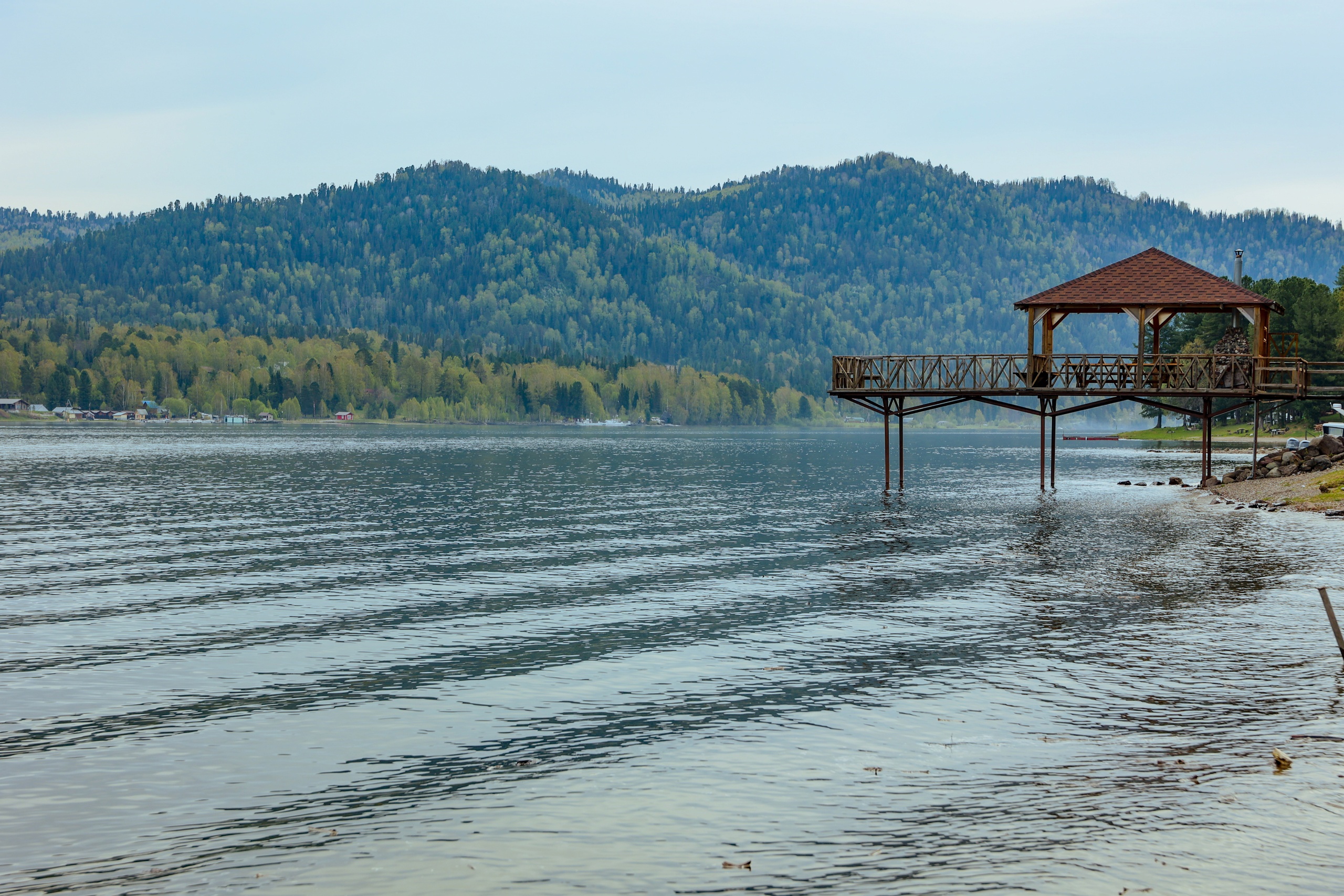 В кругосветку по Алтаю! 2026 Посмотри весь Алтай! (56/110)