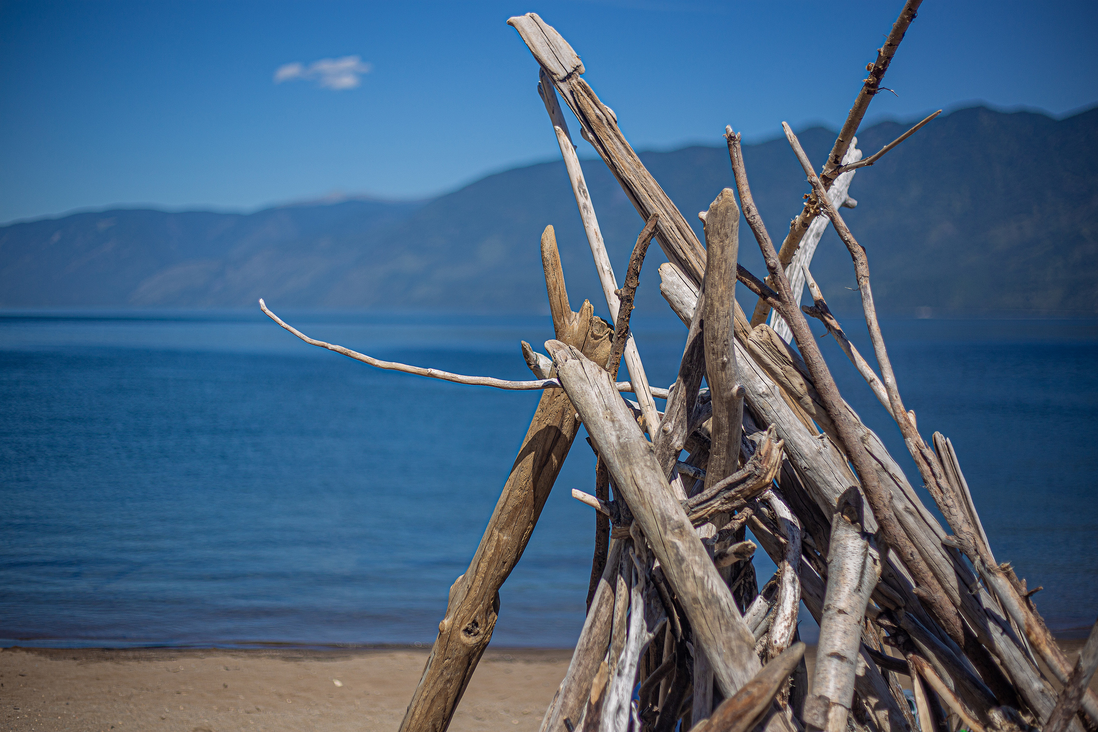 В кругосветку по Алтаю! 2026 Посмотри весь Алтай! (21/110)