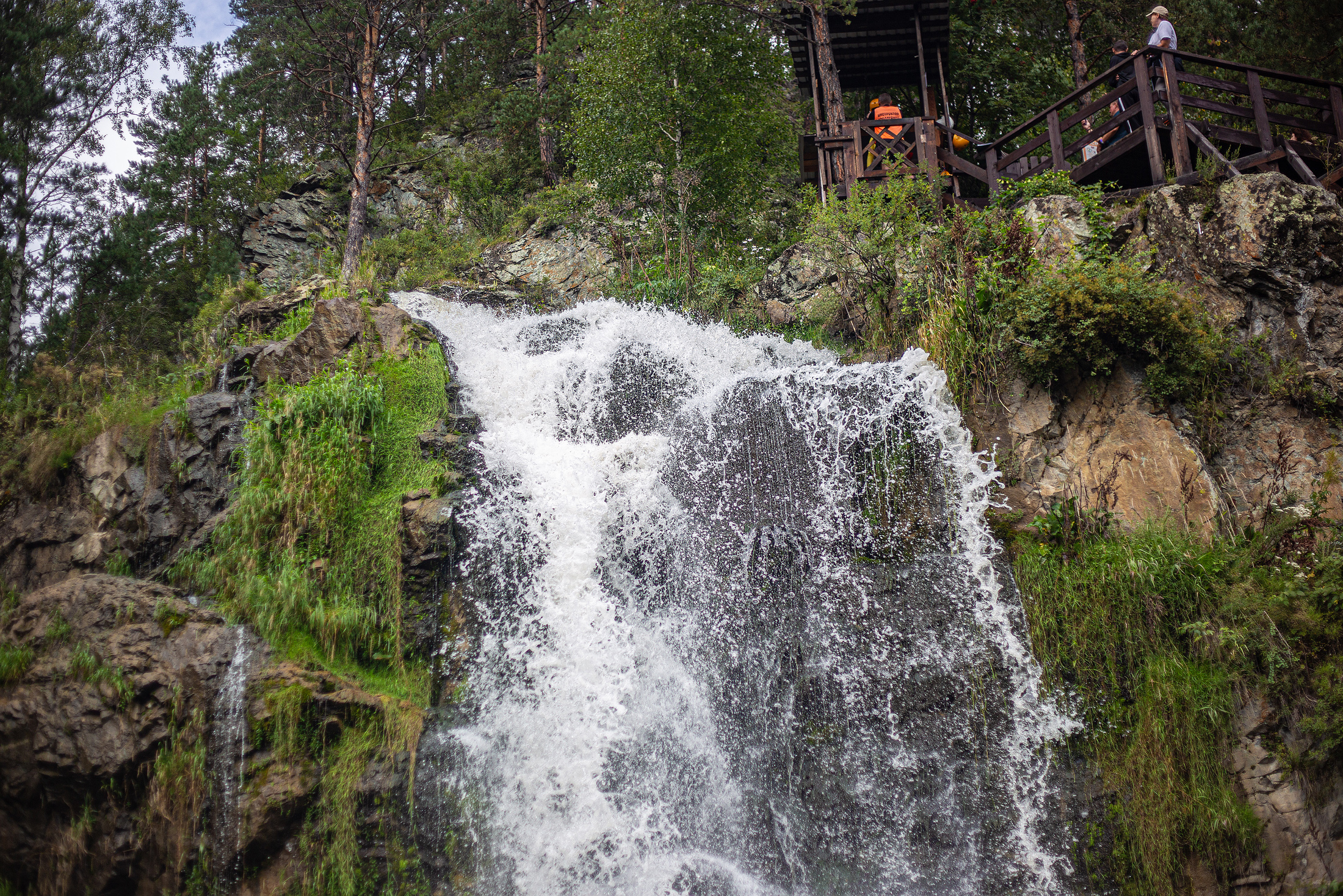 В кругосветку по Алтаю! 2026 Посмотри весь Алтай! (9/110)