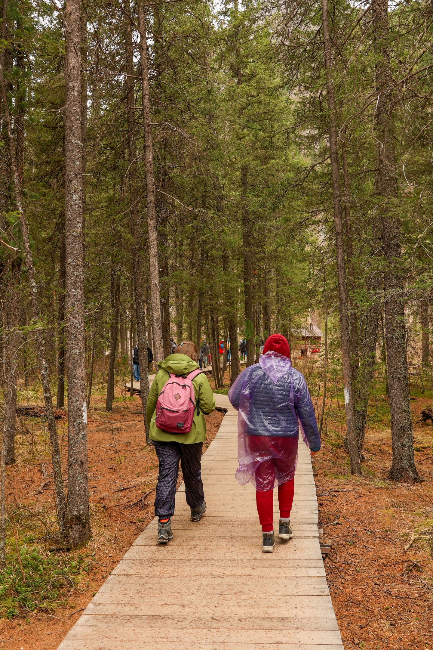 В кругосветку по Алтаю! 2026 Посмотри весь Алтай! (71/110)