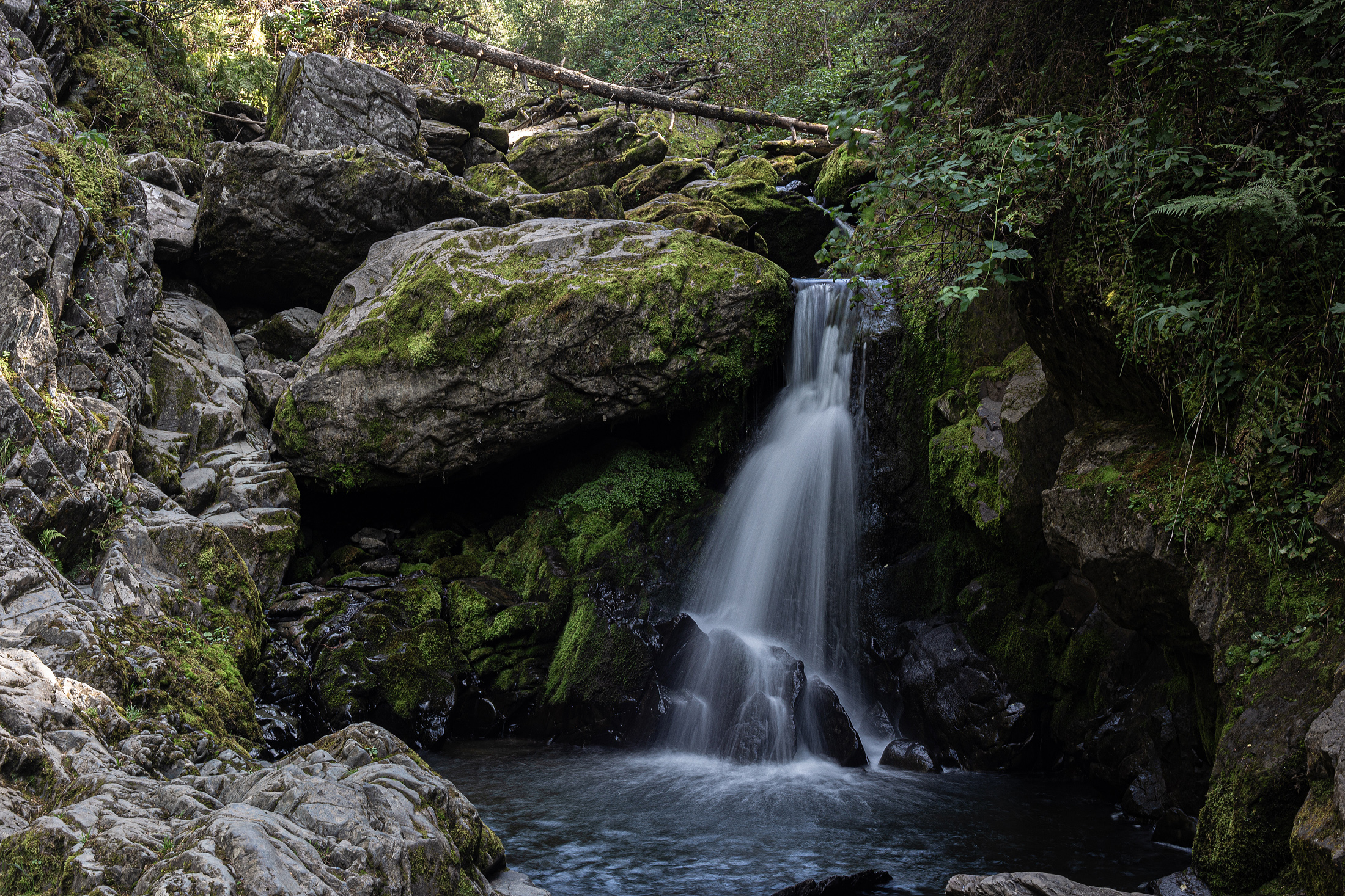 В кругосветку по Алтаю! 2026 Посмотри весь Алтай! (39/110)