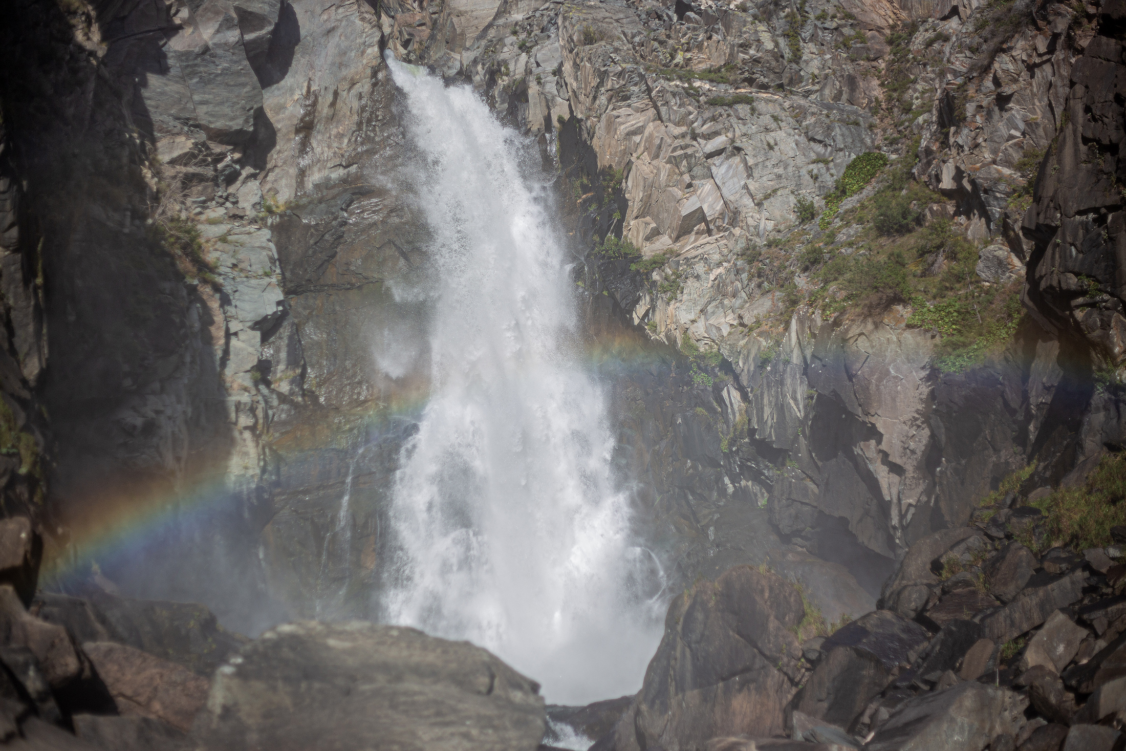 В кругосветку по Алтаю! 2026 Посмотри весь Алтай! (17/110)