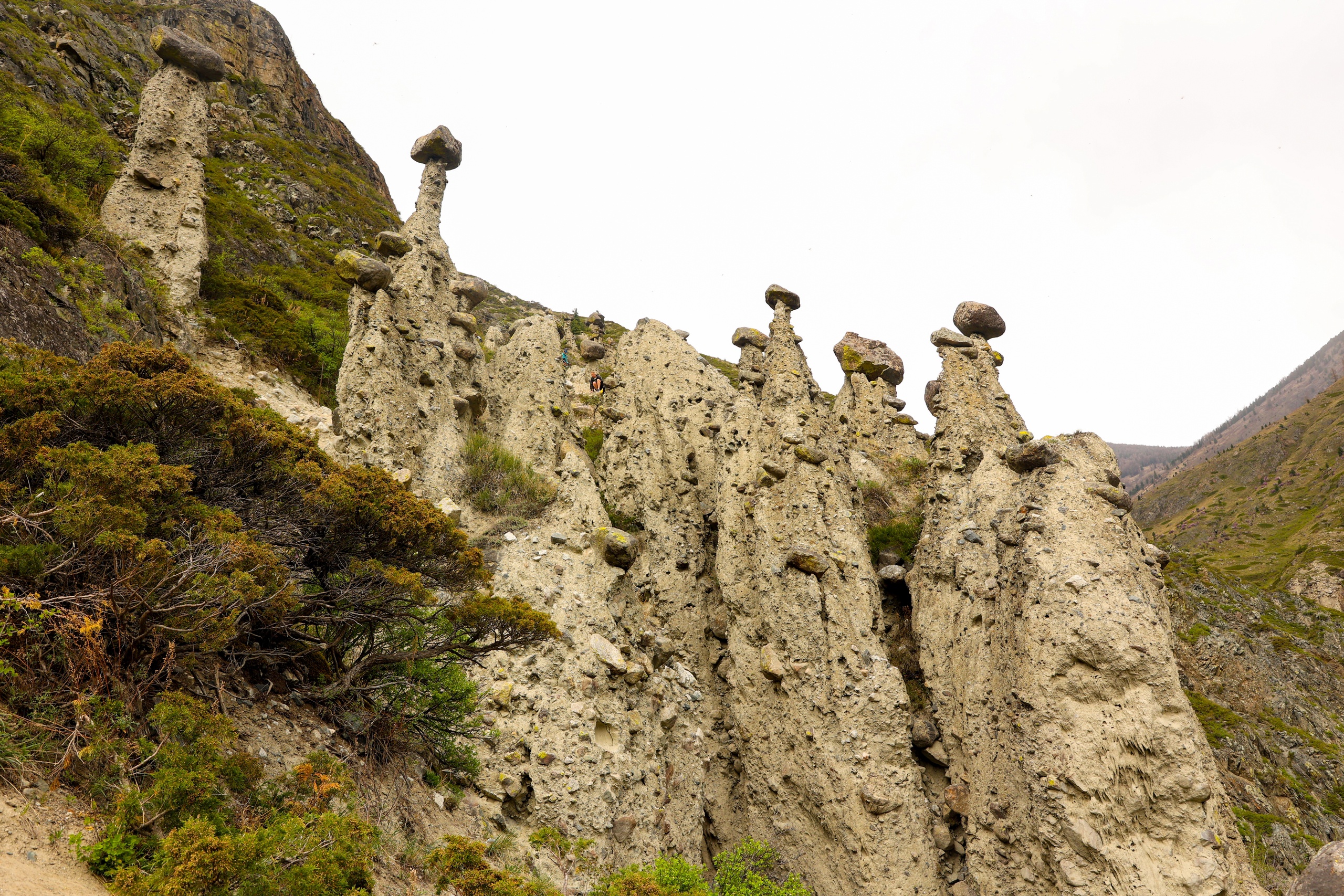 В кругосветку по Алтаю! 2026 Посмотри весь Алтай! (69/110)