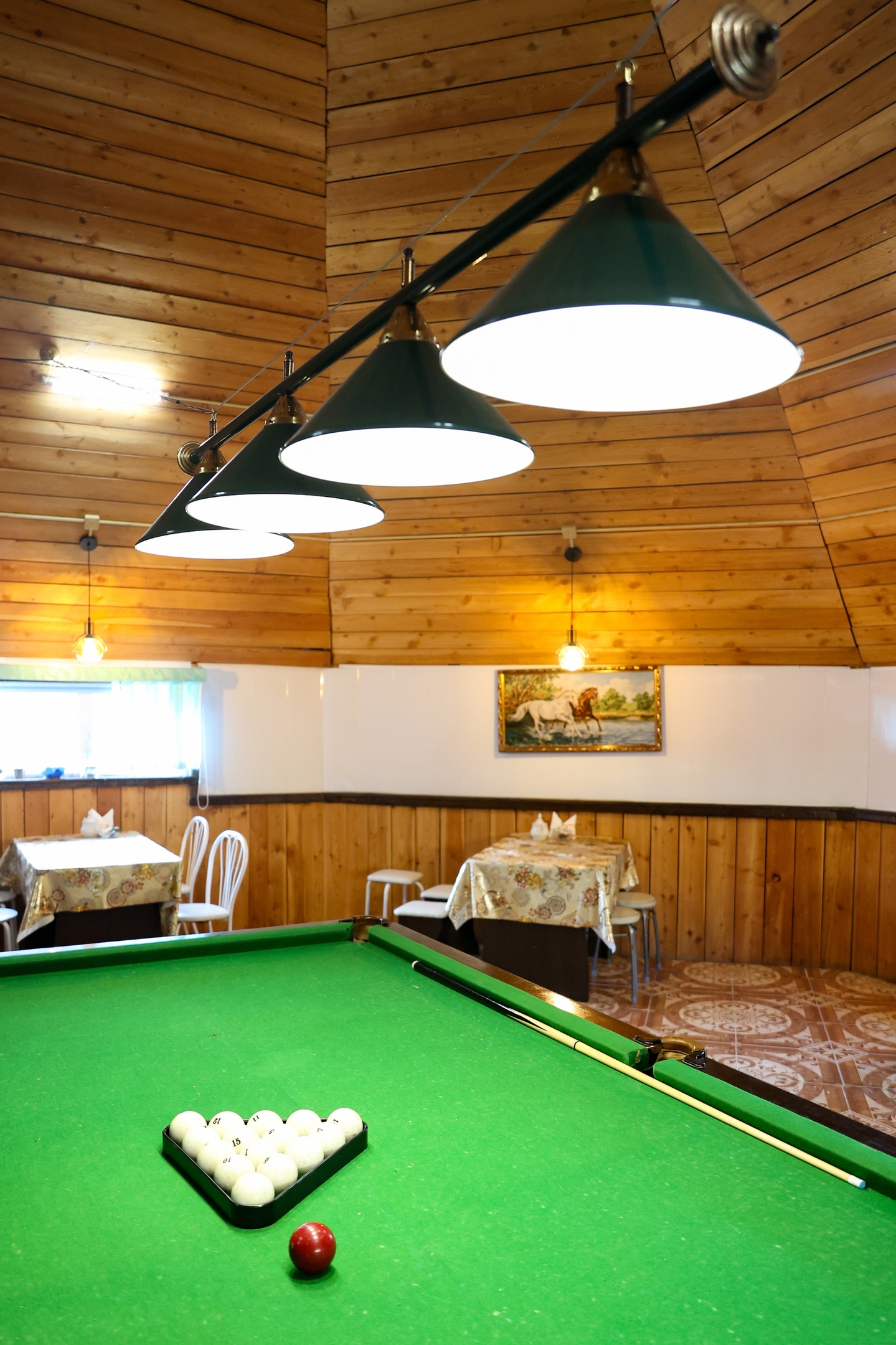 В кругосветку по Алтаю! 2026 Посмотри весь Алтай! (48/110)