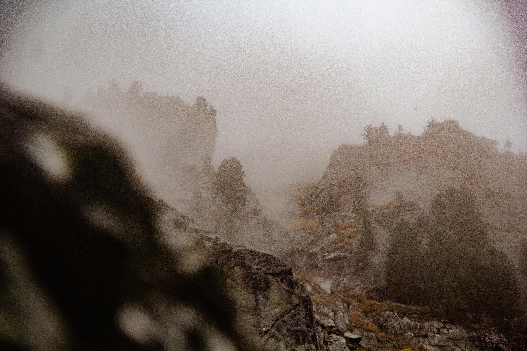 В кругосветку по Алтаю! 2026 Посмотри весь Алтай! (80/110)