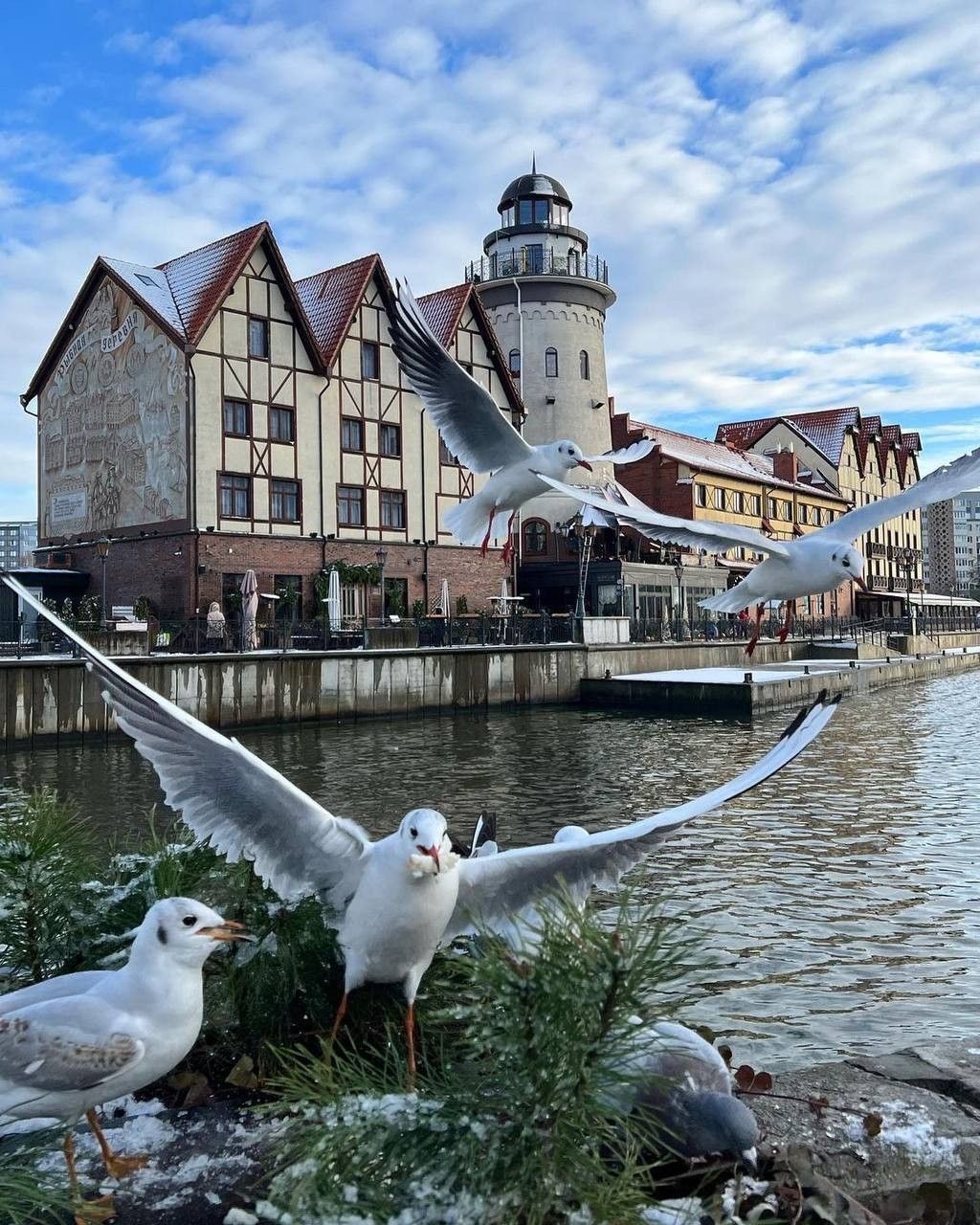 Гастро выходные в европейском стиле: Калининград и Малые города (3/25)