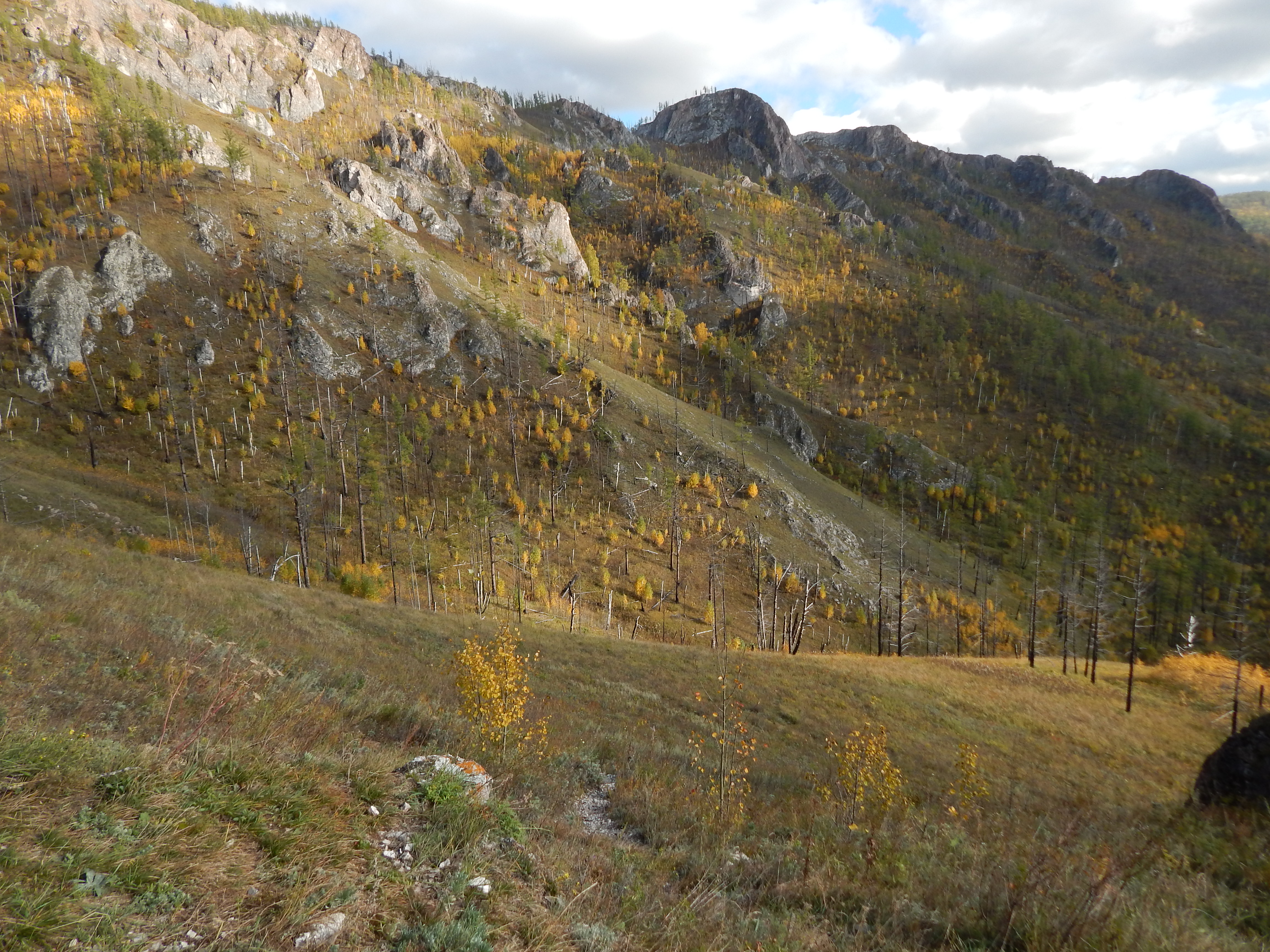 Тропа предков (2/14)