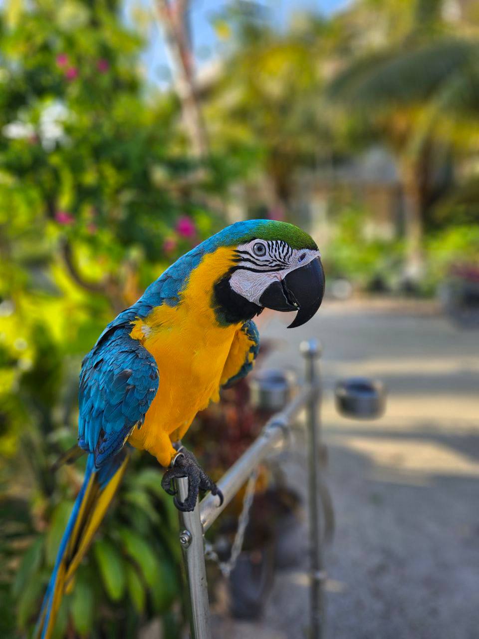 Магические Мальдивы (44/130)