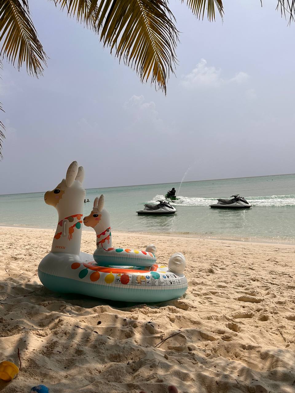 Магические Мальдивы (19/130)