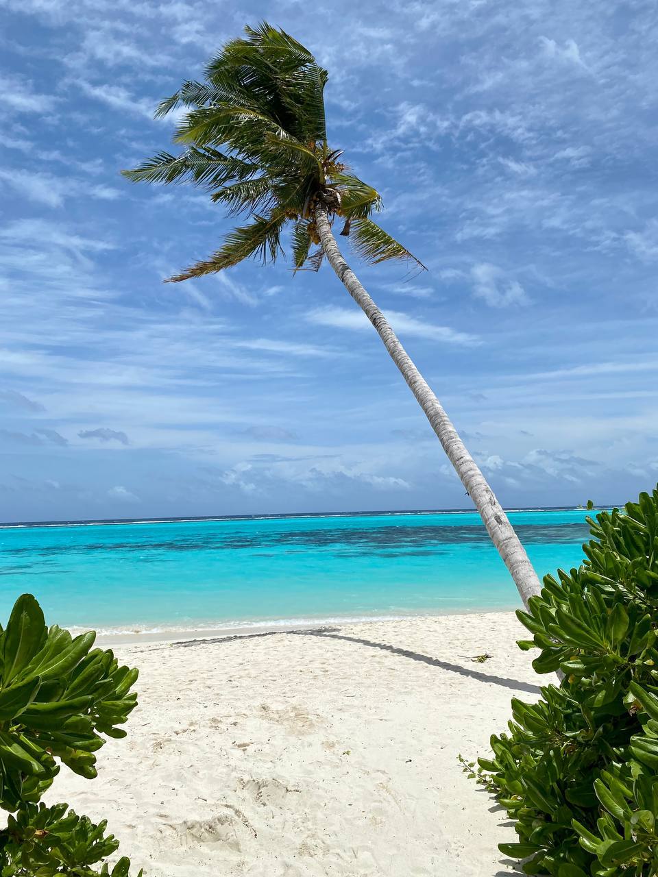 Магические Мальдивы (60/130)