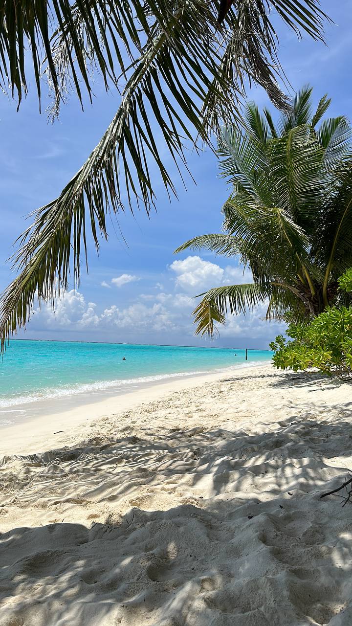 Магические Мальдивы (34/130)