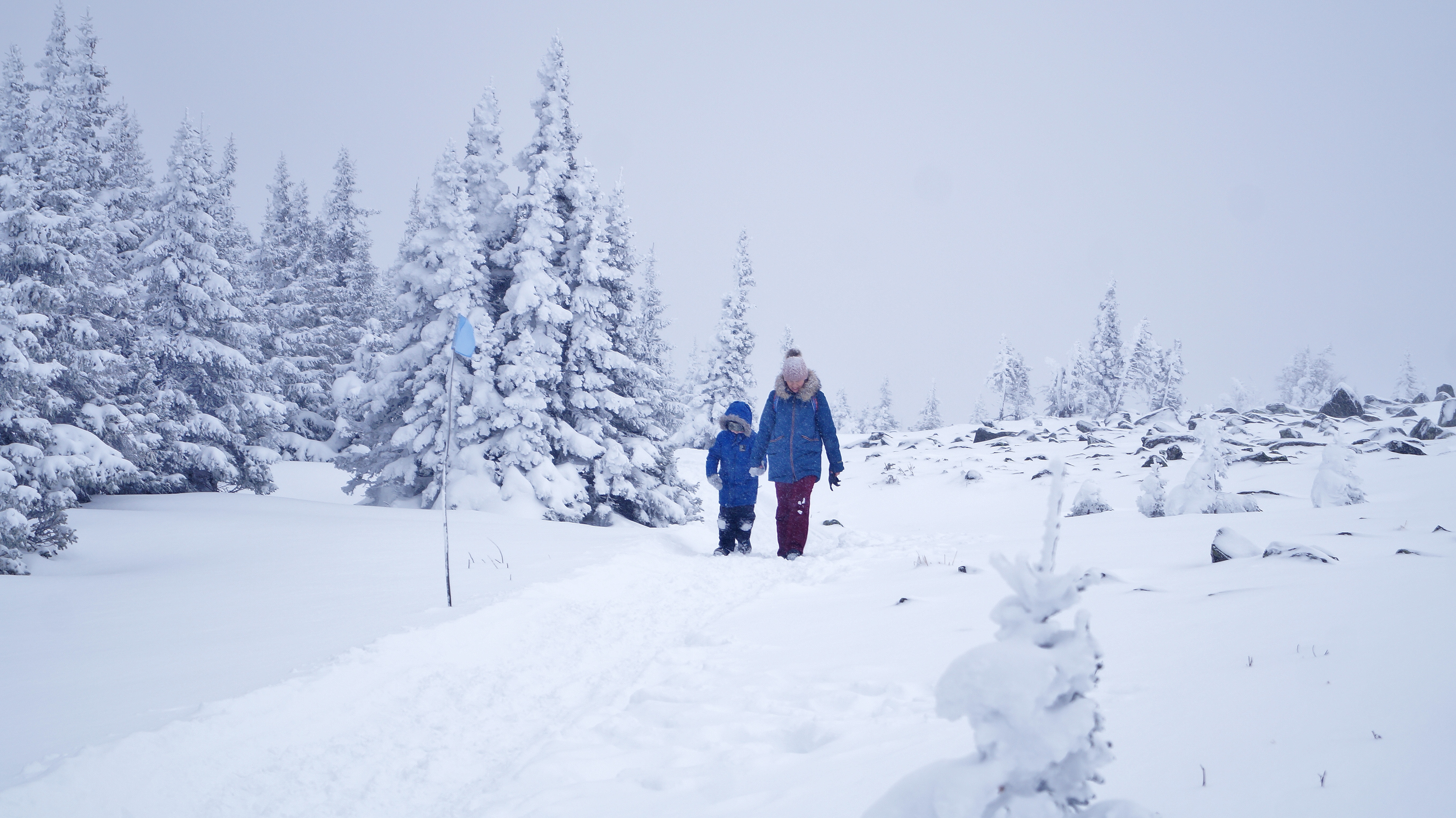 Поход на священную гору Иремель (16/27)