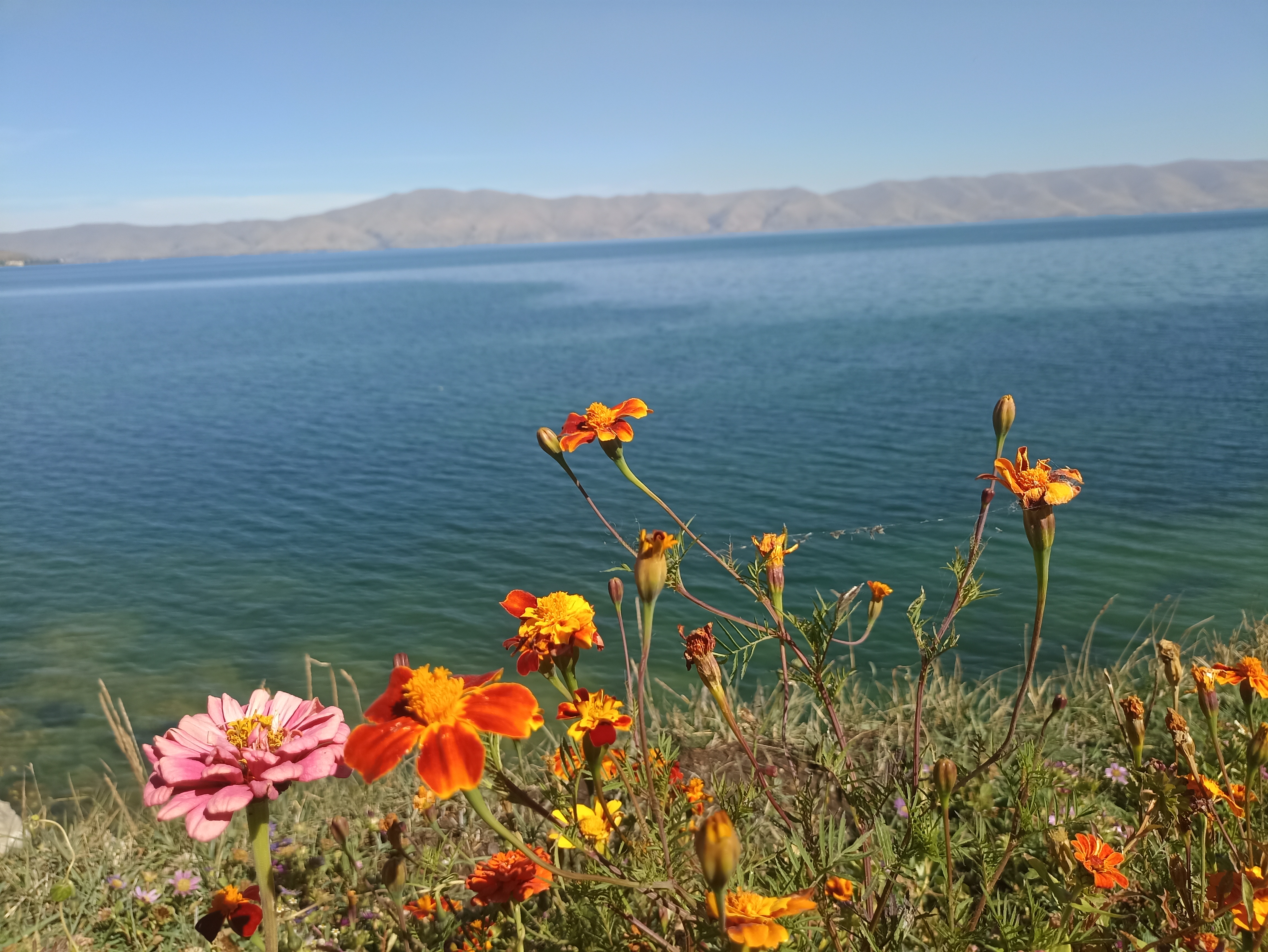 Севанская мозаика (6/8)