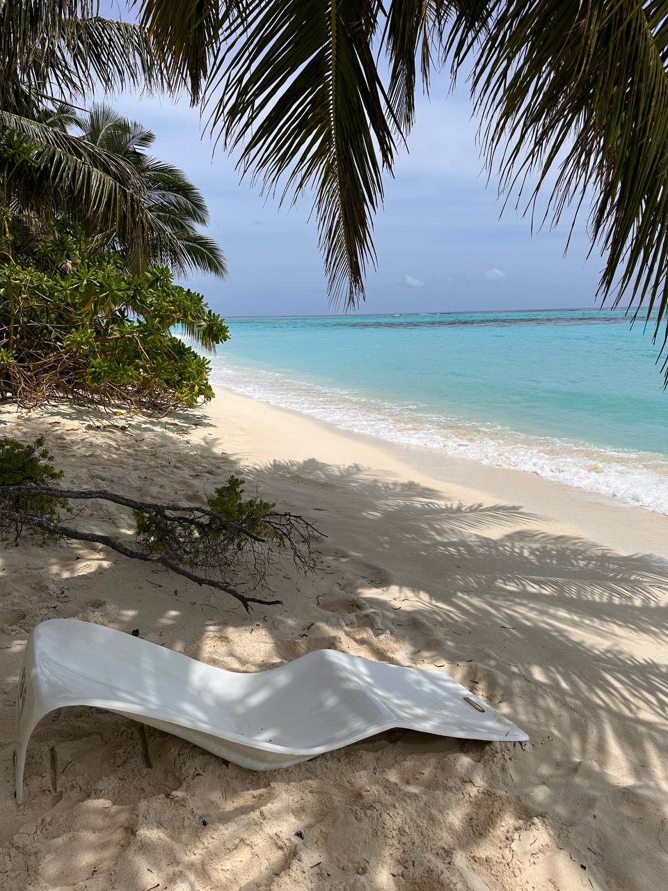 Магические Мальдивы (61/130)