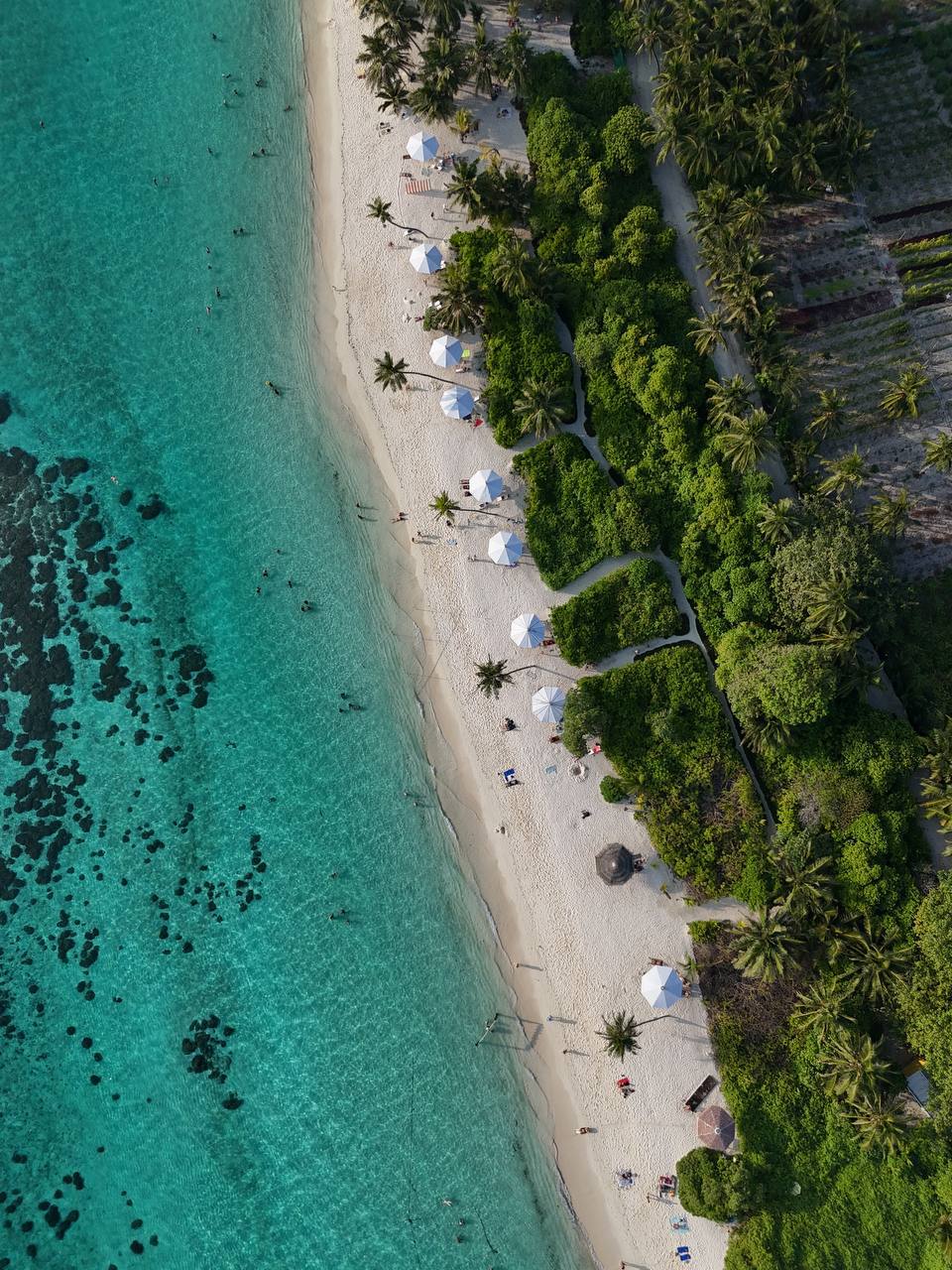 Магические Мальдивы (6/130)