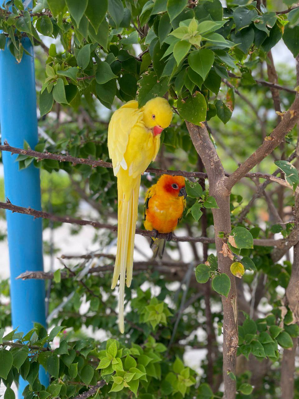 Магические Мальдивы (5/130)