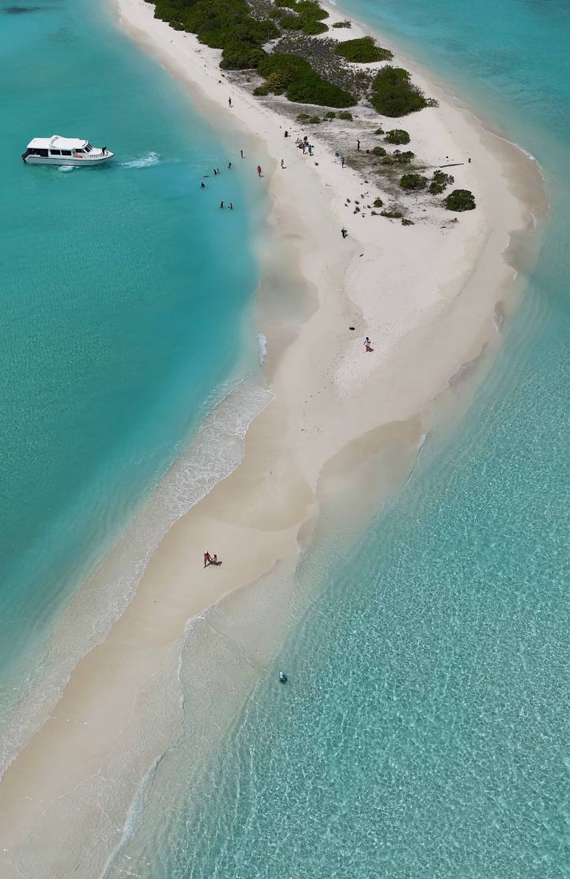 Магические Мальдивы (8/130)