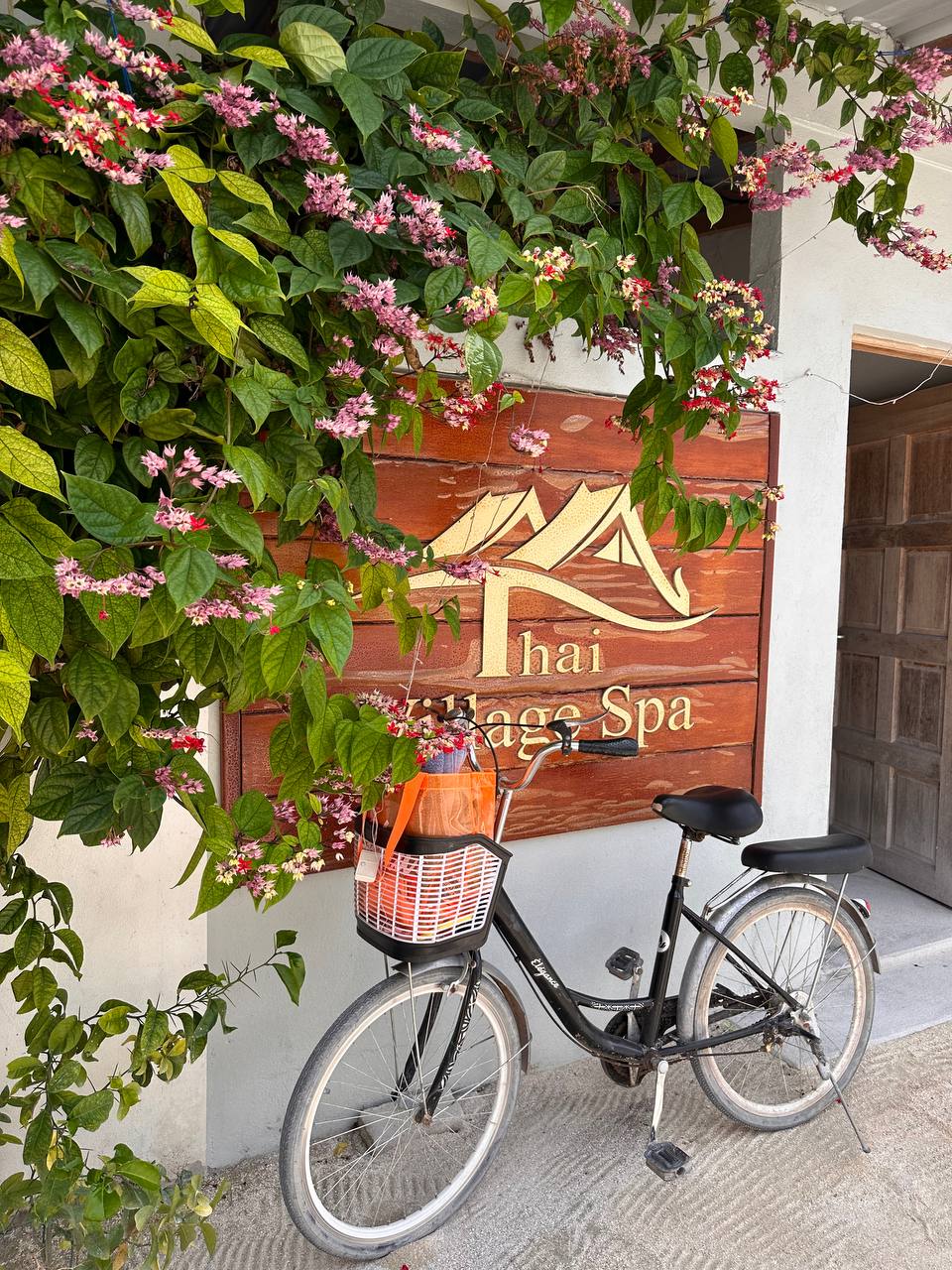 Магические Мальдивы (31/130)