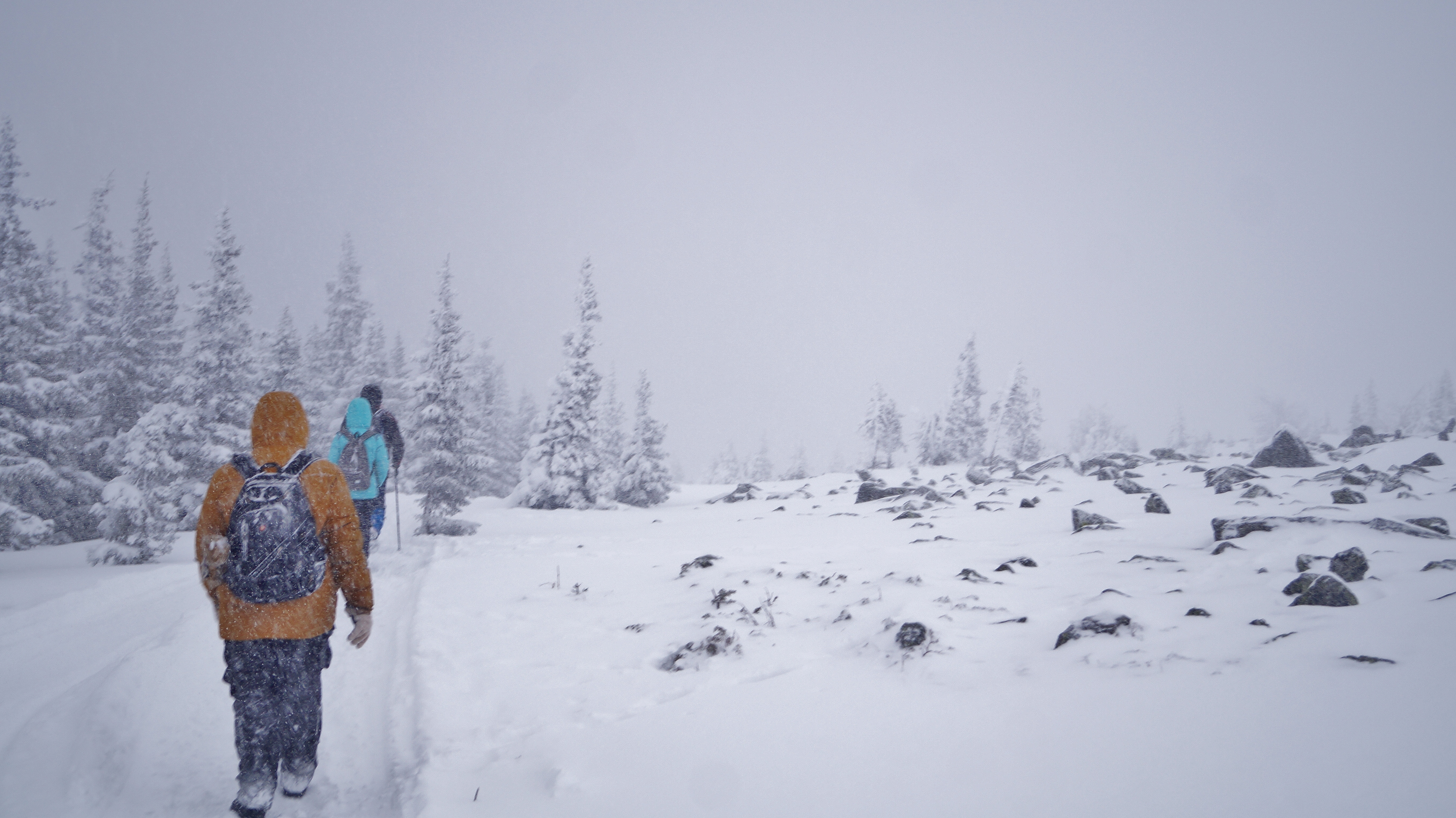 Поход на священную гору Иремель (17/27)