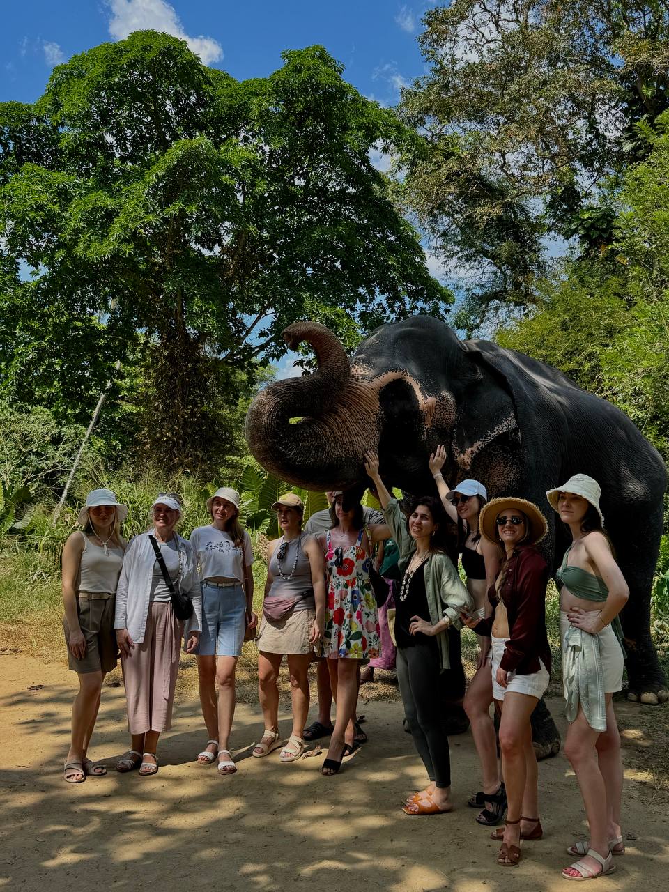 Шри-Ланка - открываем скрытые сокровища острова (33/77)