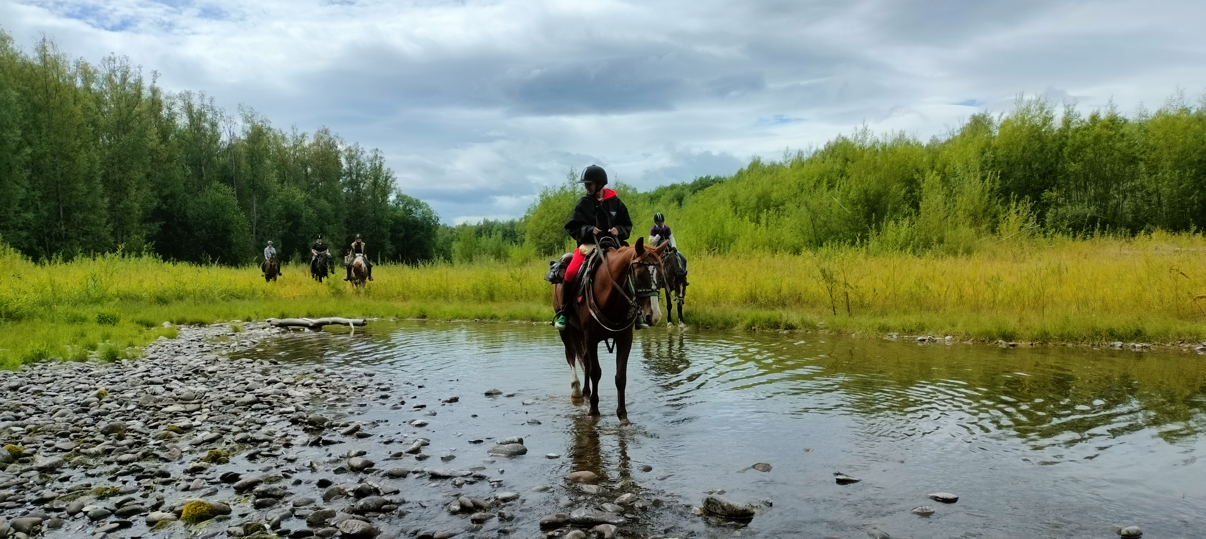 Конный тур к реке Авача (11/17)
