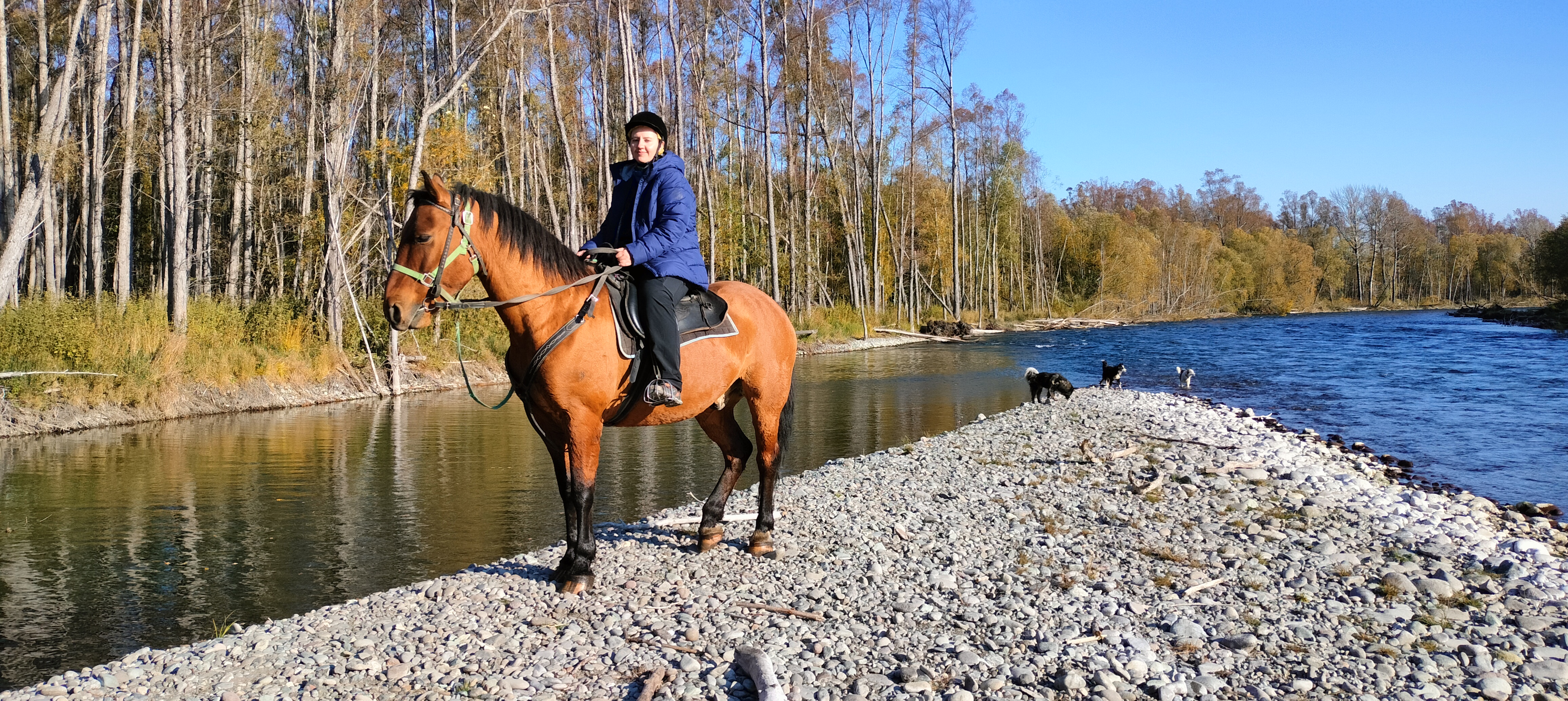 Конный тур к реке Авача (9/17)