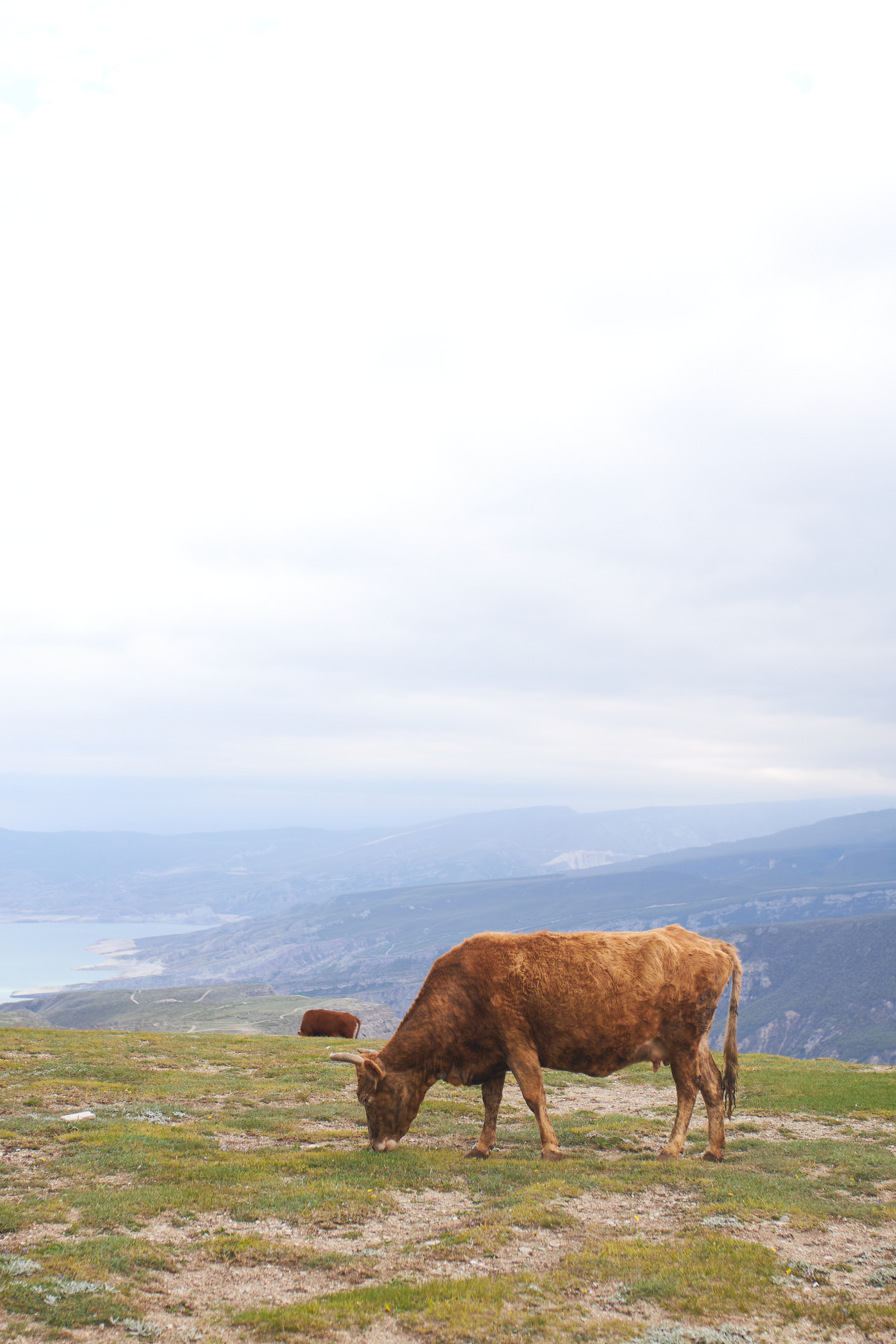 Легенды Дагестана (15/19)