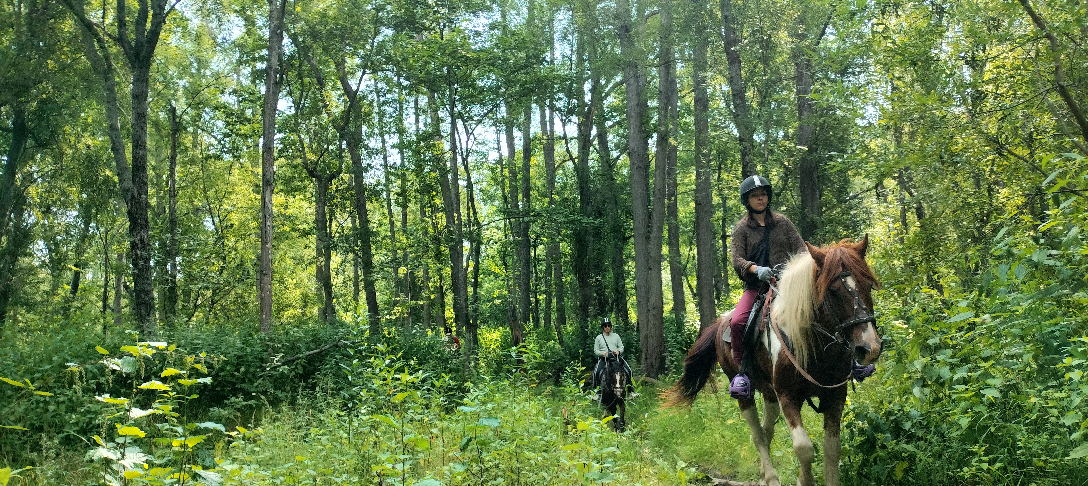 Конный тур в Медвежий Угол (17/17)