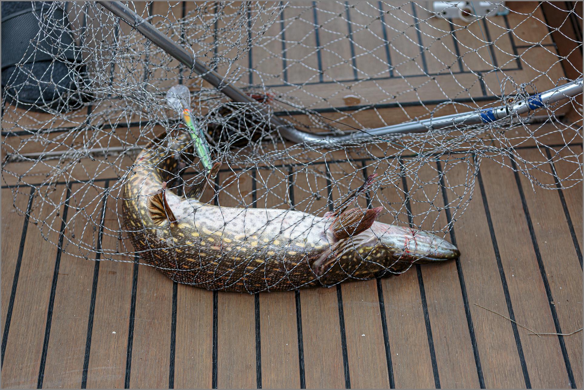 Карельские тайны. Белые ночи и Онега под парусом! (12/37)