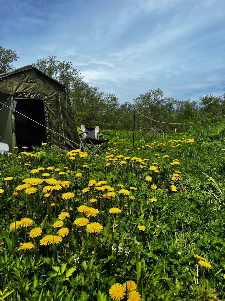 Рыбалка на Камчатского серебристоно красавца Кижуча! (1/19)