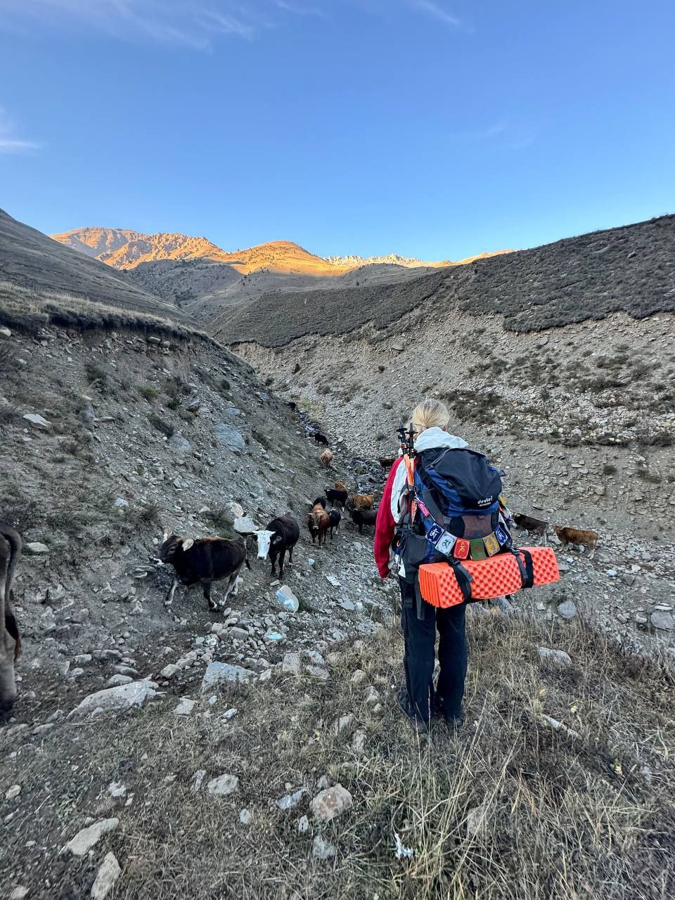 Поход в горы на два дня (11/25)