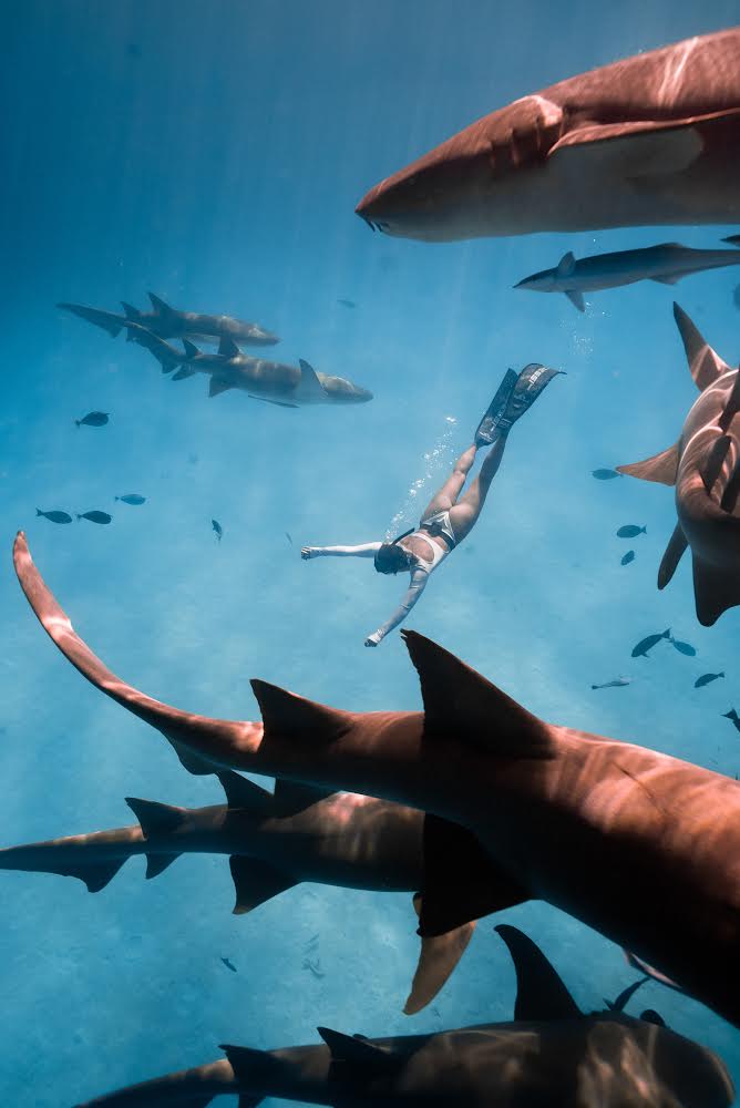 Свадебный тур на Мальдивах для двоих + Церемония! (от 7 дней) (5/29)