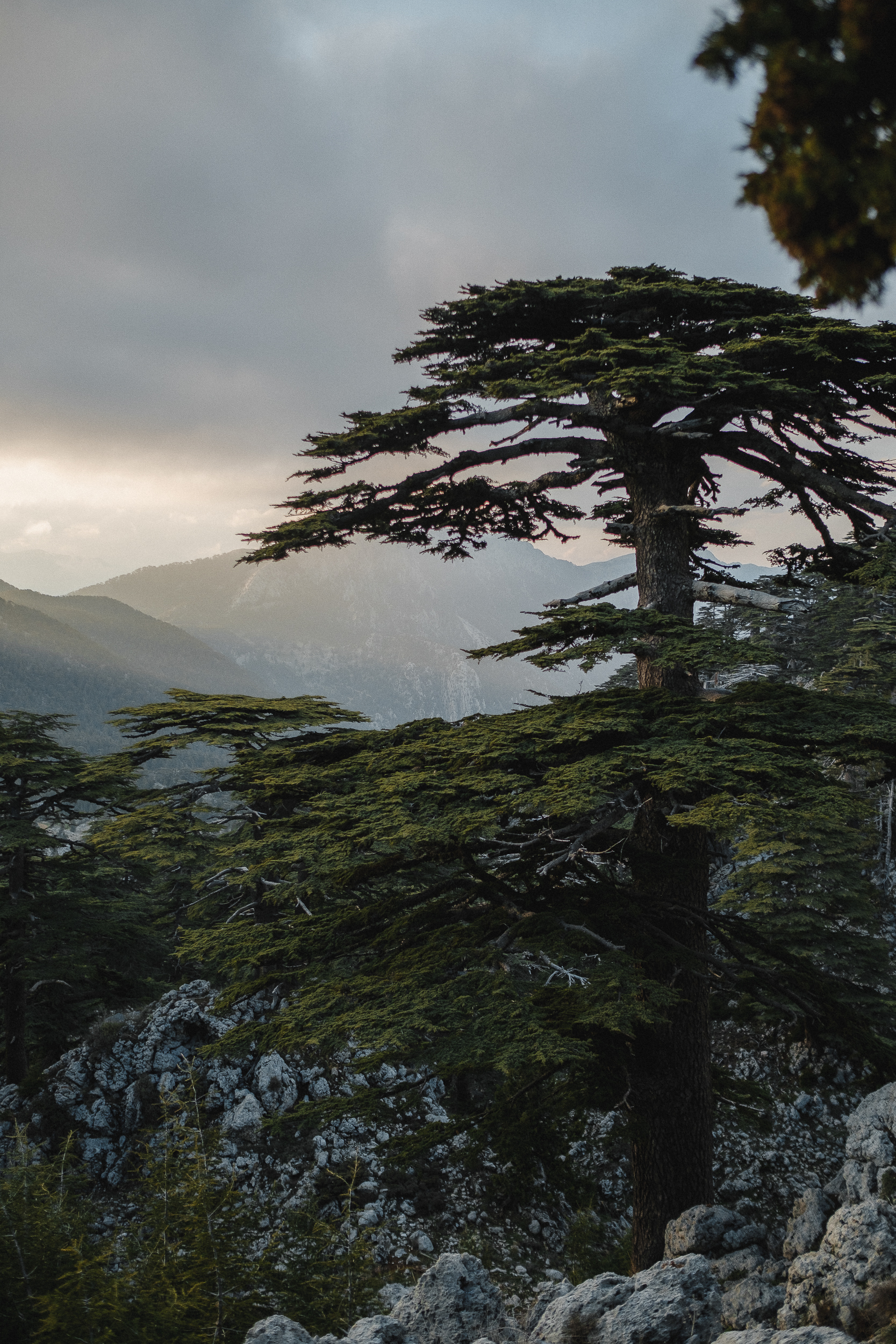 Трекинг по Ликийской тропе с восхождением на г.Тахталы (9/62)
