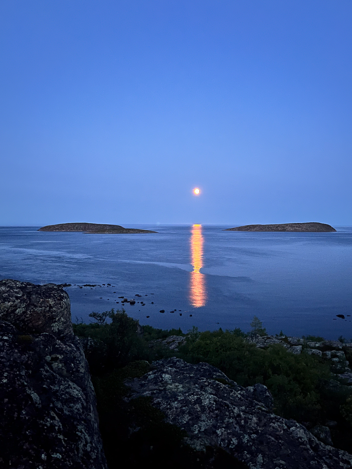 Тайны Белого моря. Архипелаг Кузова (9/39)