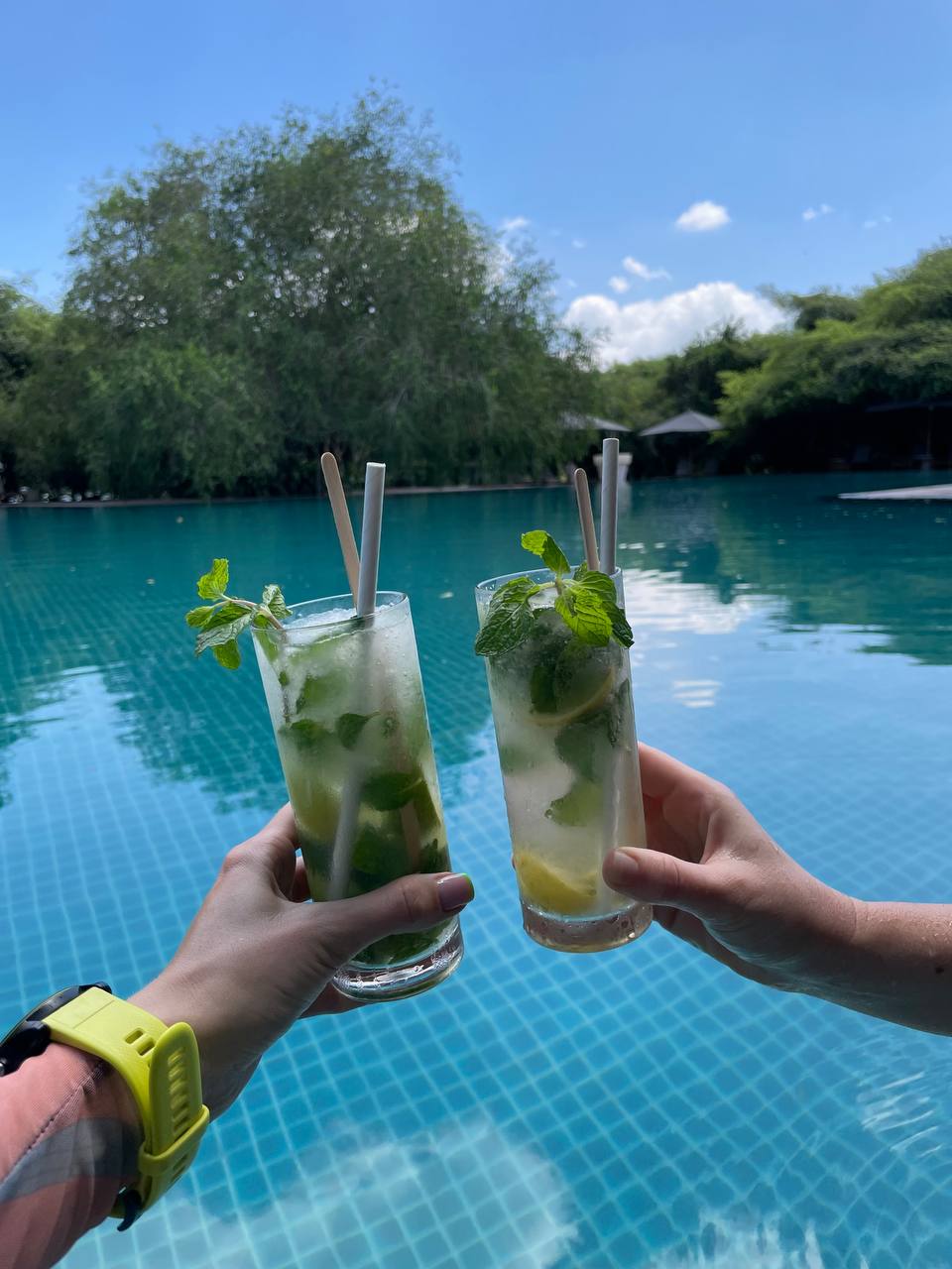 Шри-Ланка - открываем скрытые сокровища острова (23/77)