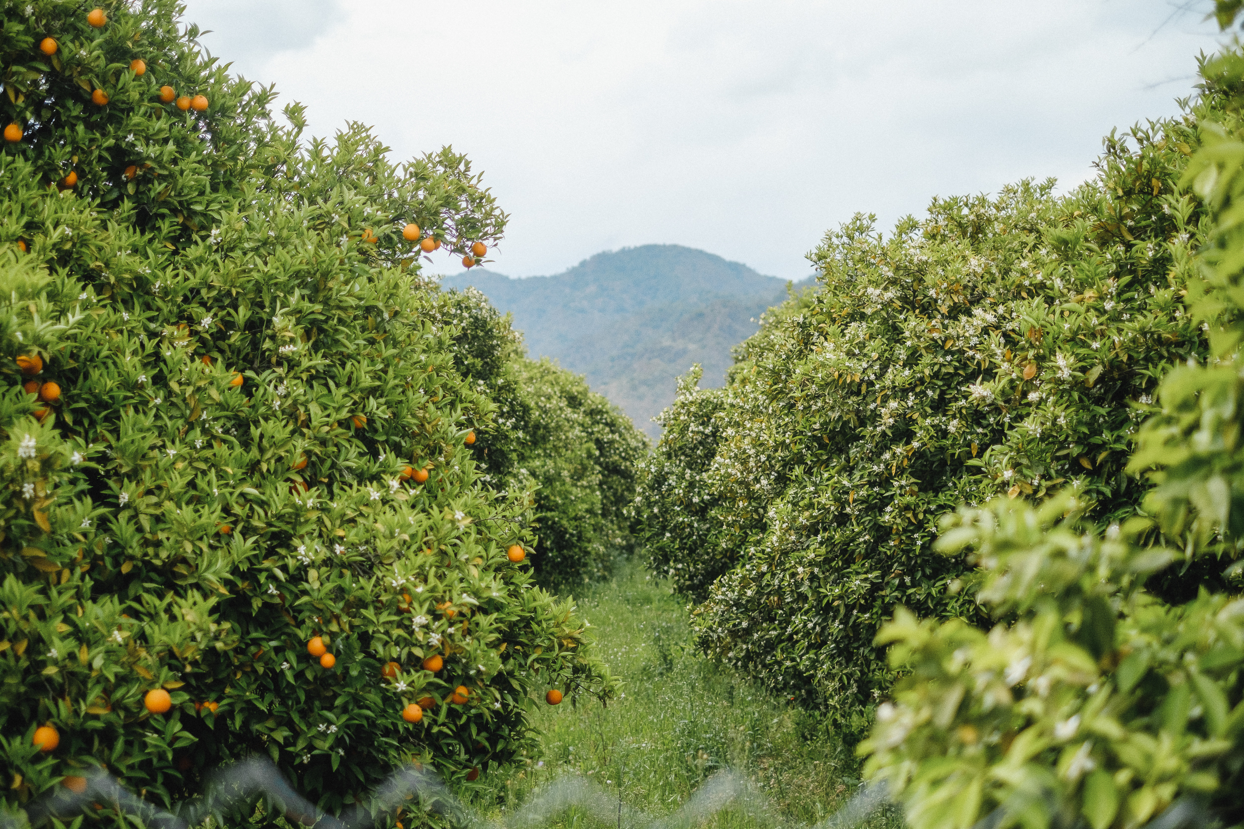 Трекинг по Ликийской тропе с восхождением на г.Тахталы (10/62)