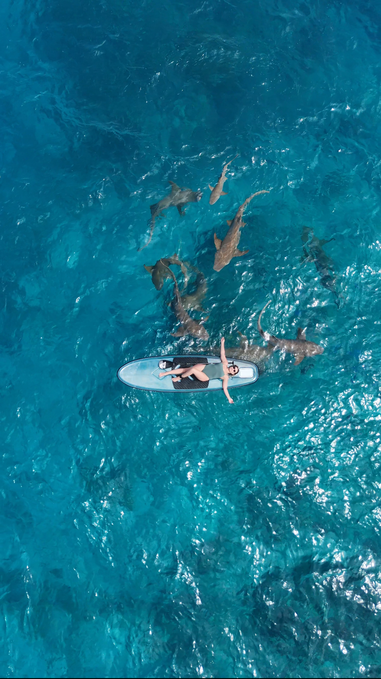 Свадебный тур на Мальдивах для двоих + Церемония! (от 7 дней) (7/29)