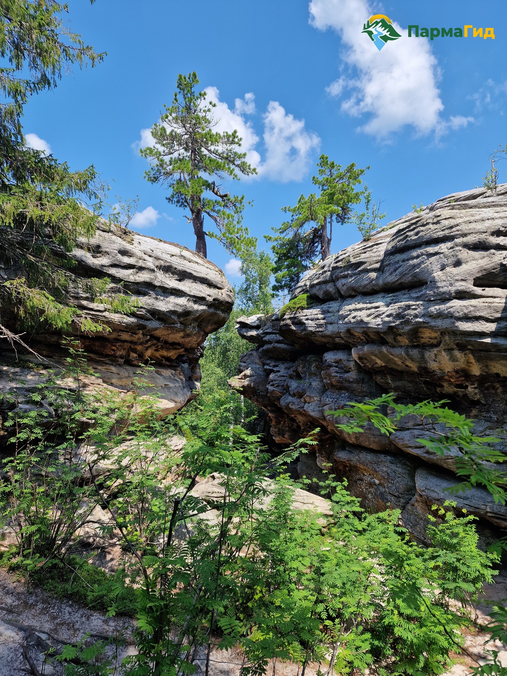 К Усьвинским столбам на лодке с ветерком (19/21)