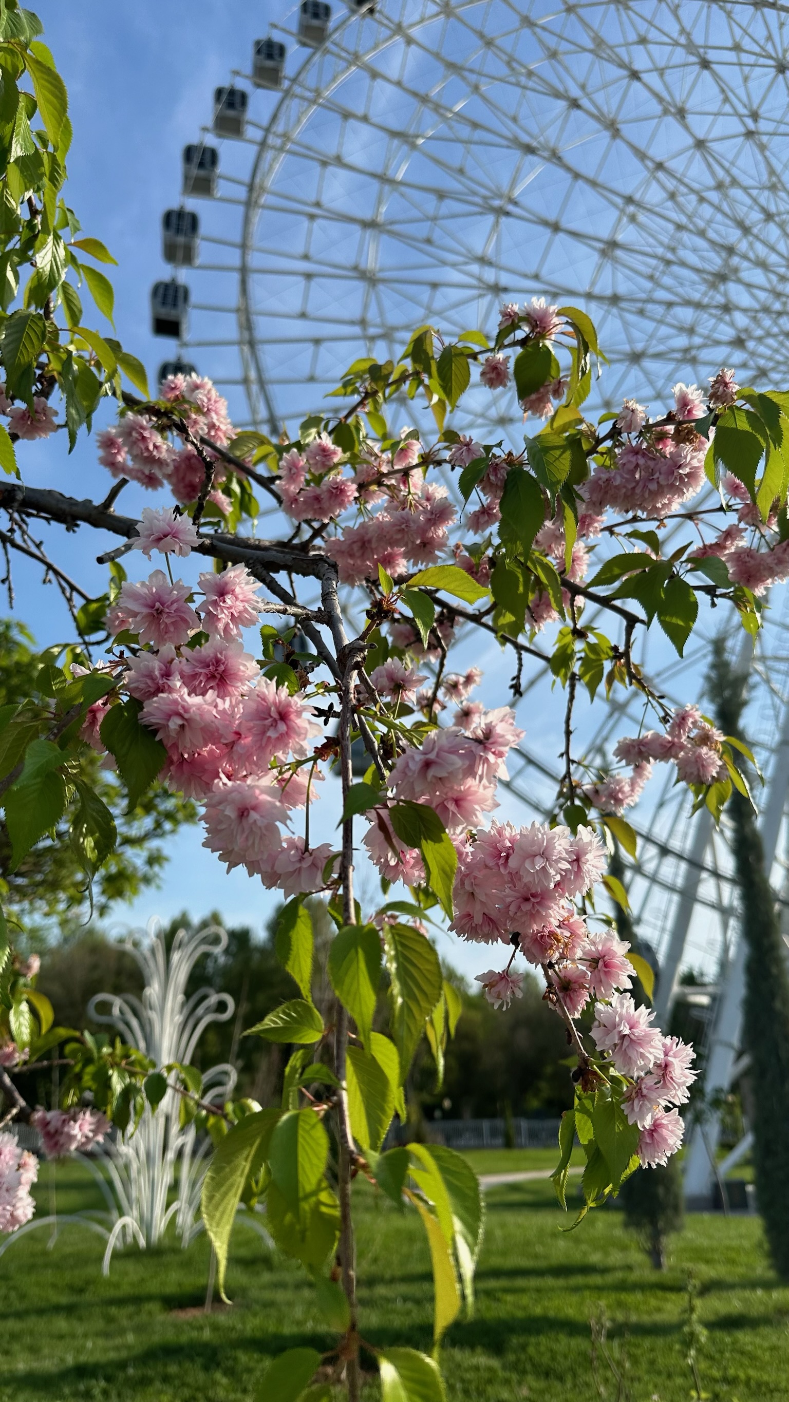 Увидеть Весь Узбекистан За 8 Дней (100/100)