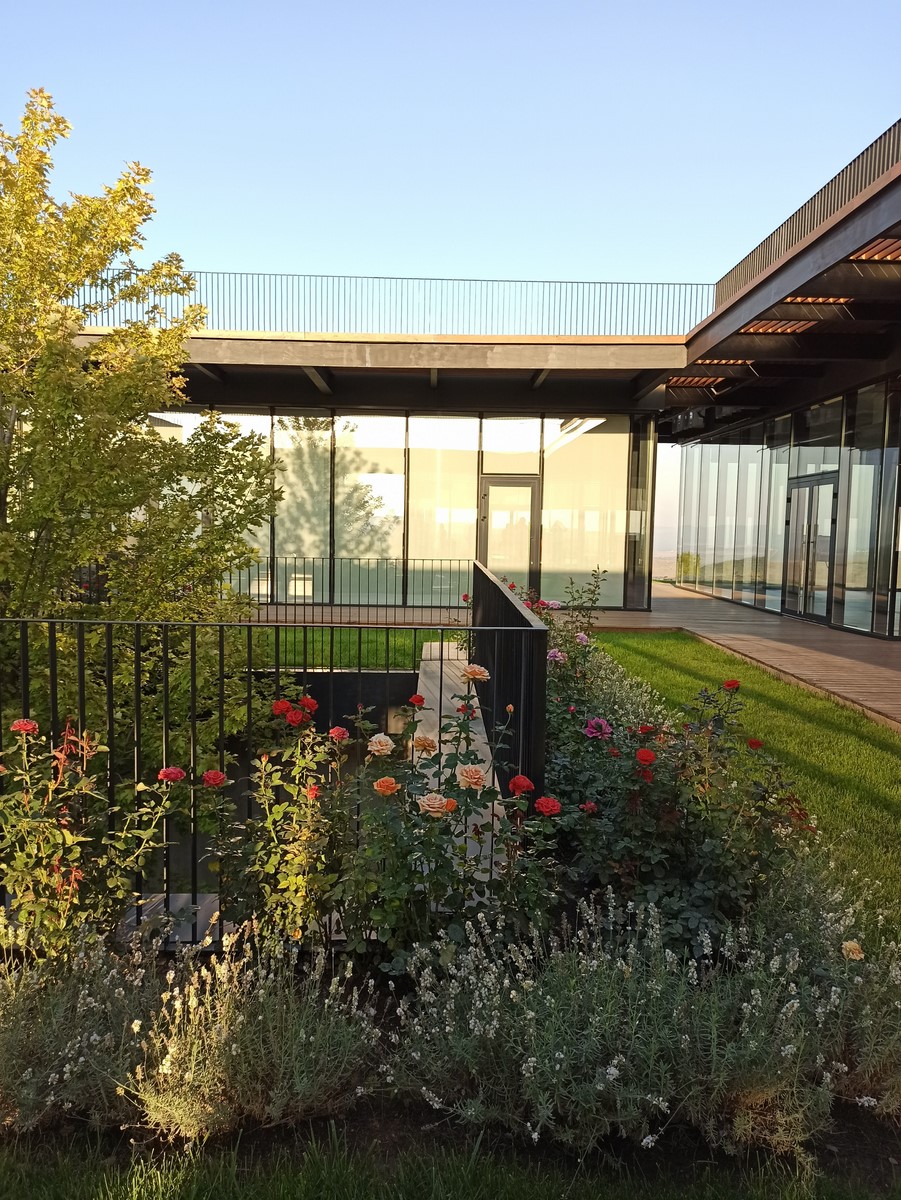 Краснодар и авторские вина Анапы (6/14)