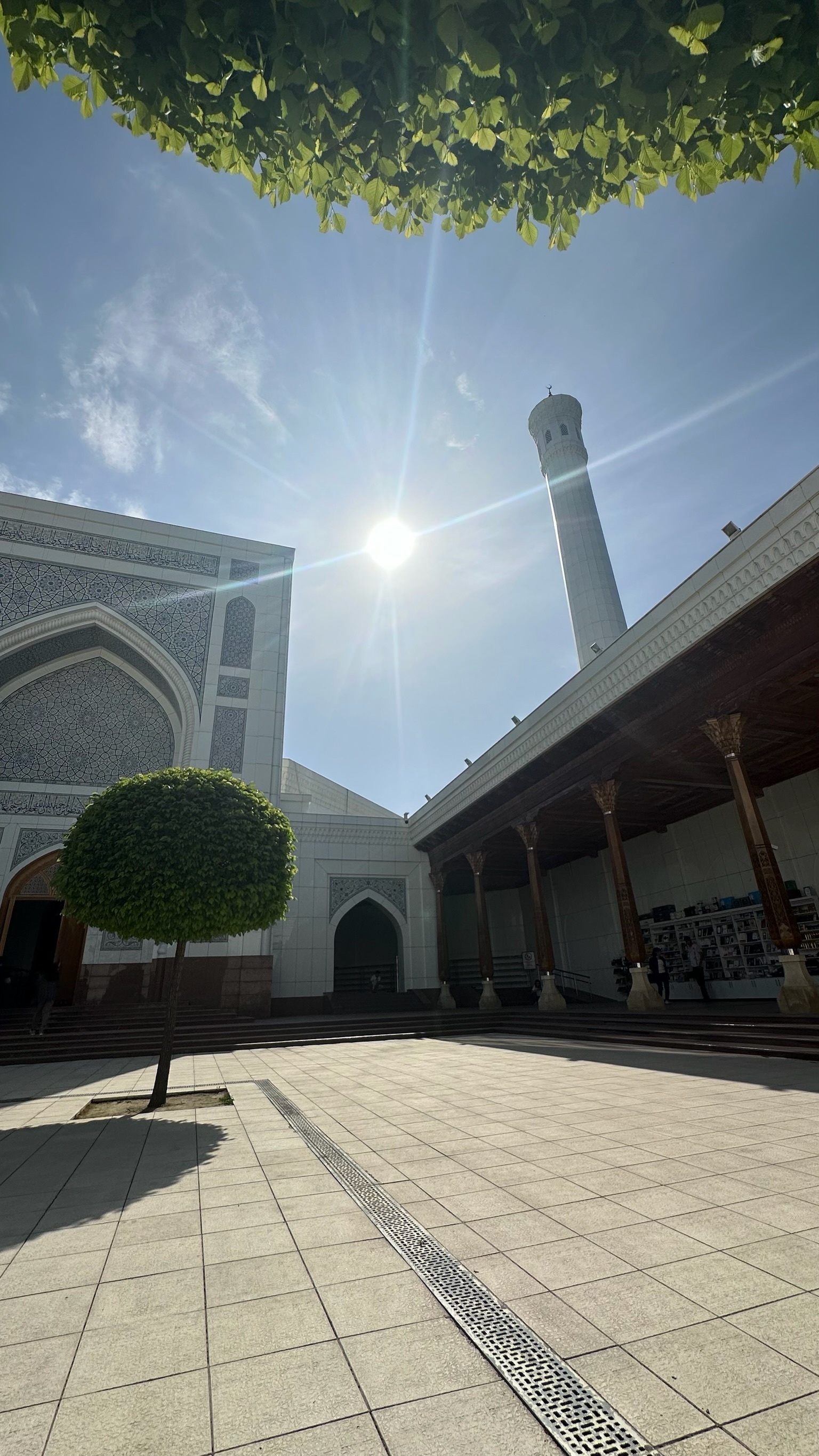 Увидеть Весь Узбекистан За 8 Дней (29/100)