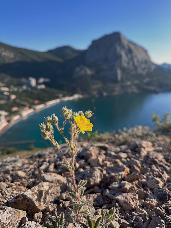 Антистресс: горы, море, пляжи. 7 дней. Все включено! (2/49)