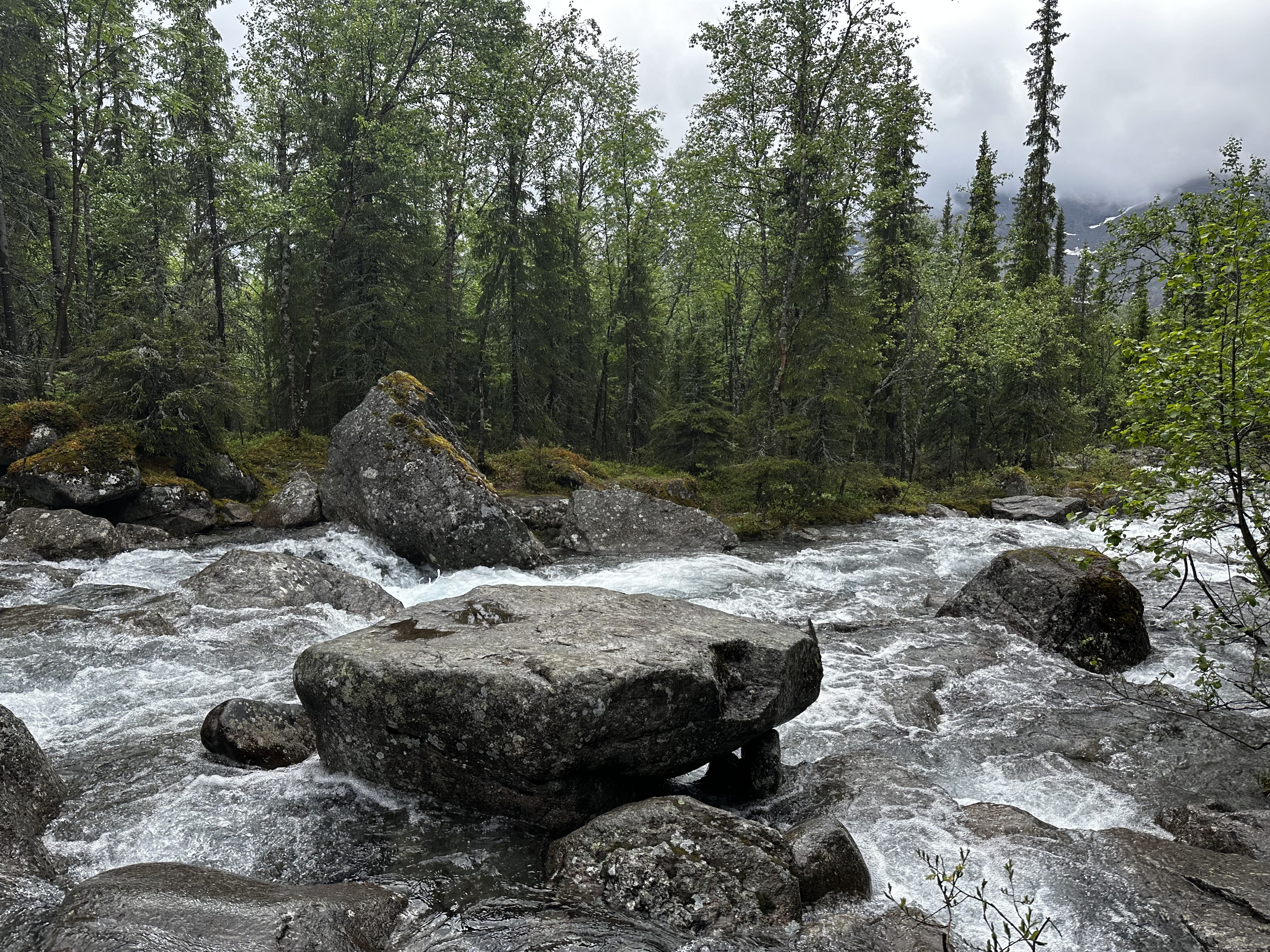 Хибины: однодневный джип-тур к подножью Куэльпорра (41/52)