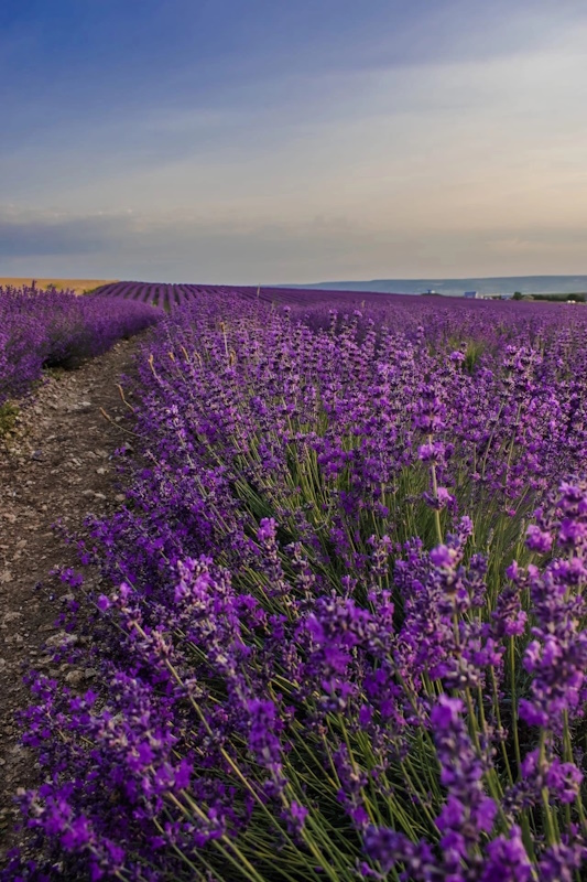 Антистресс: горы, море, пляжи. 7 дней. Все включено! (7/49)