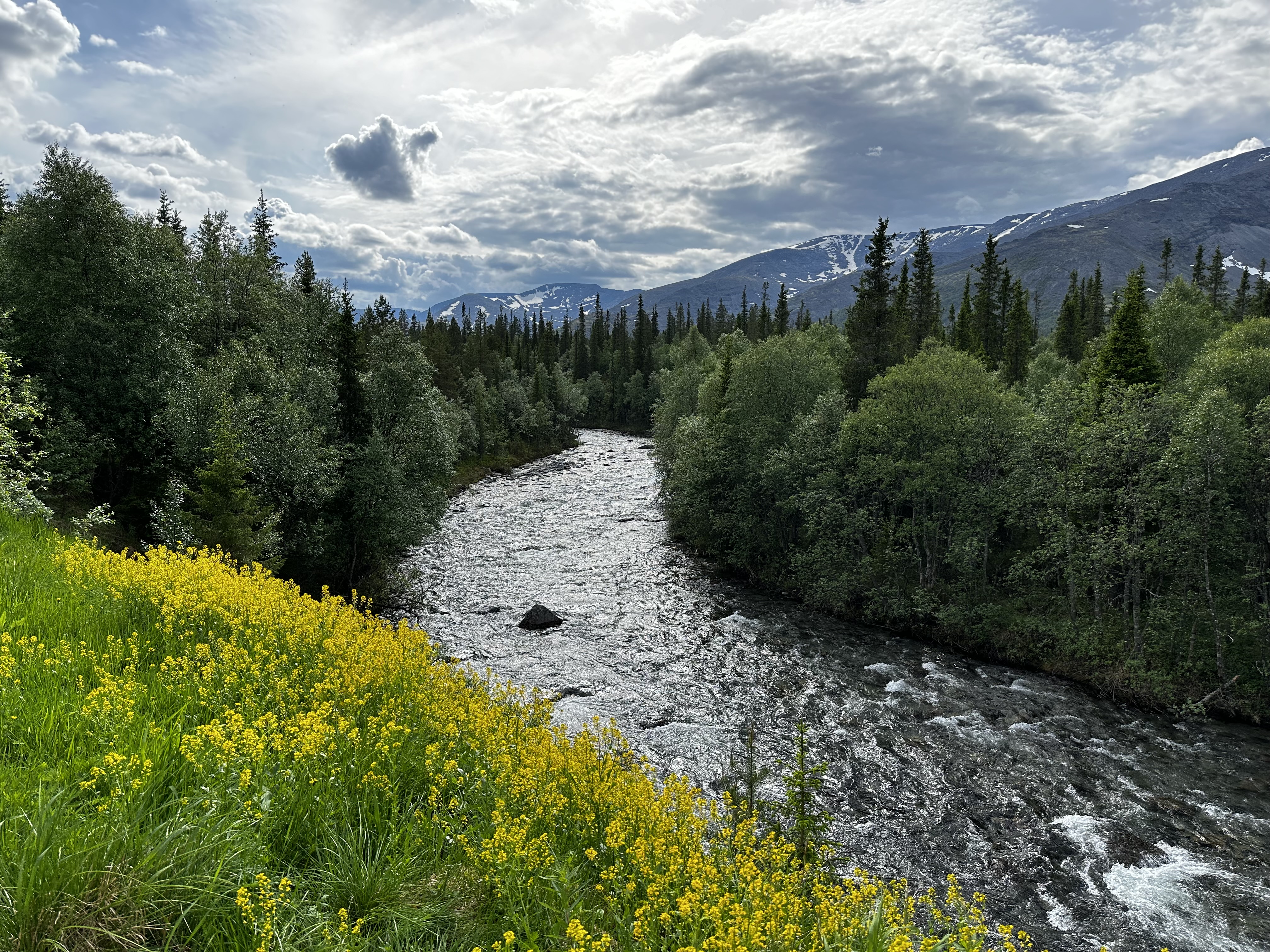 Хибины: однодневный джип-тур к подножью Куэльпорра (26/52)