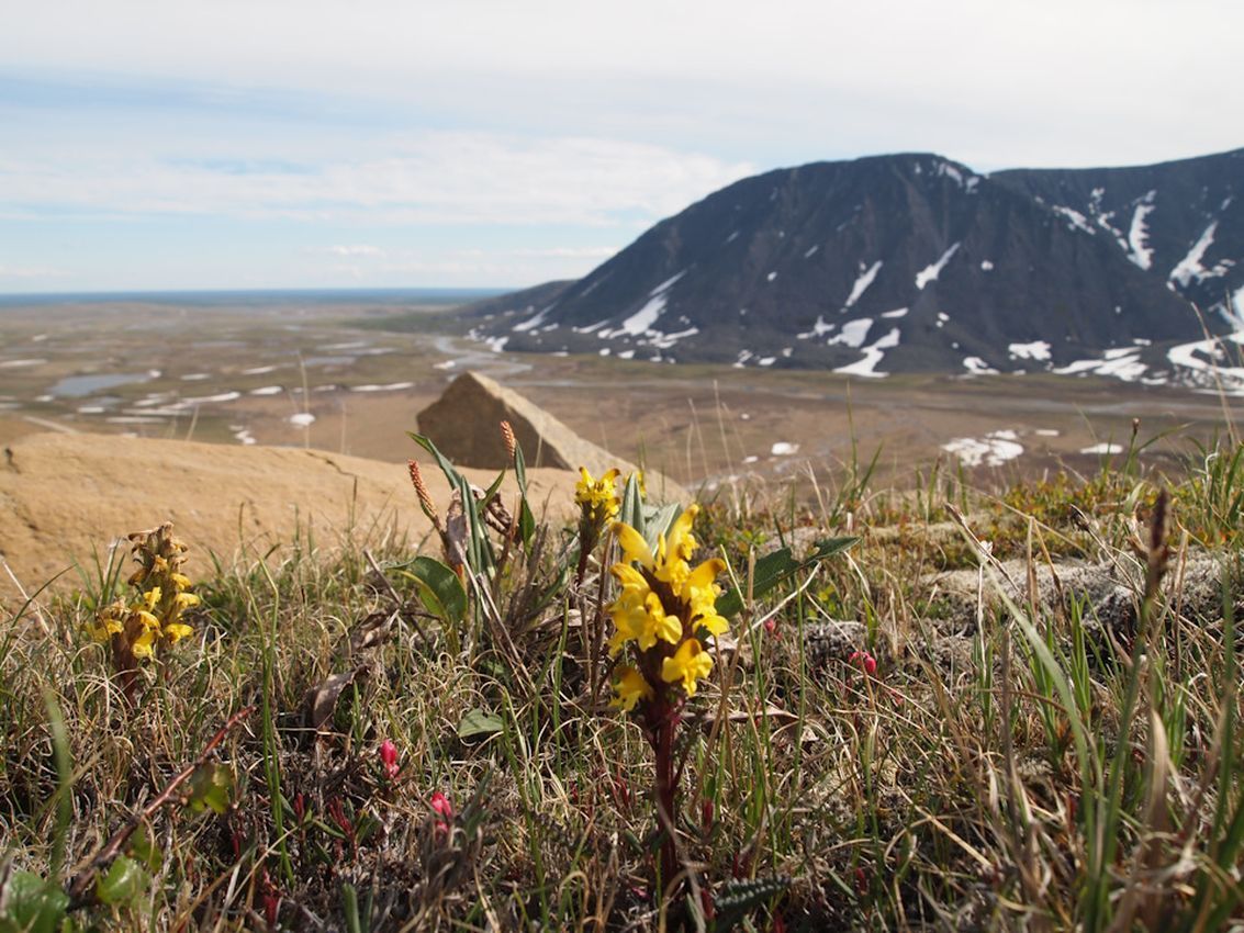 Ловозерские тундры: джип-тур к горе Аллуайв через Перевал Геологов (4/17)