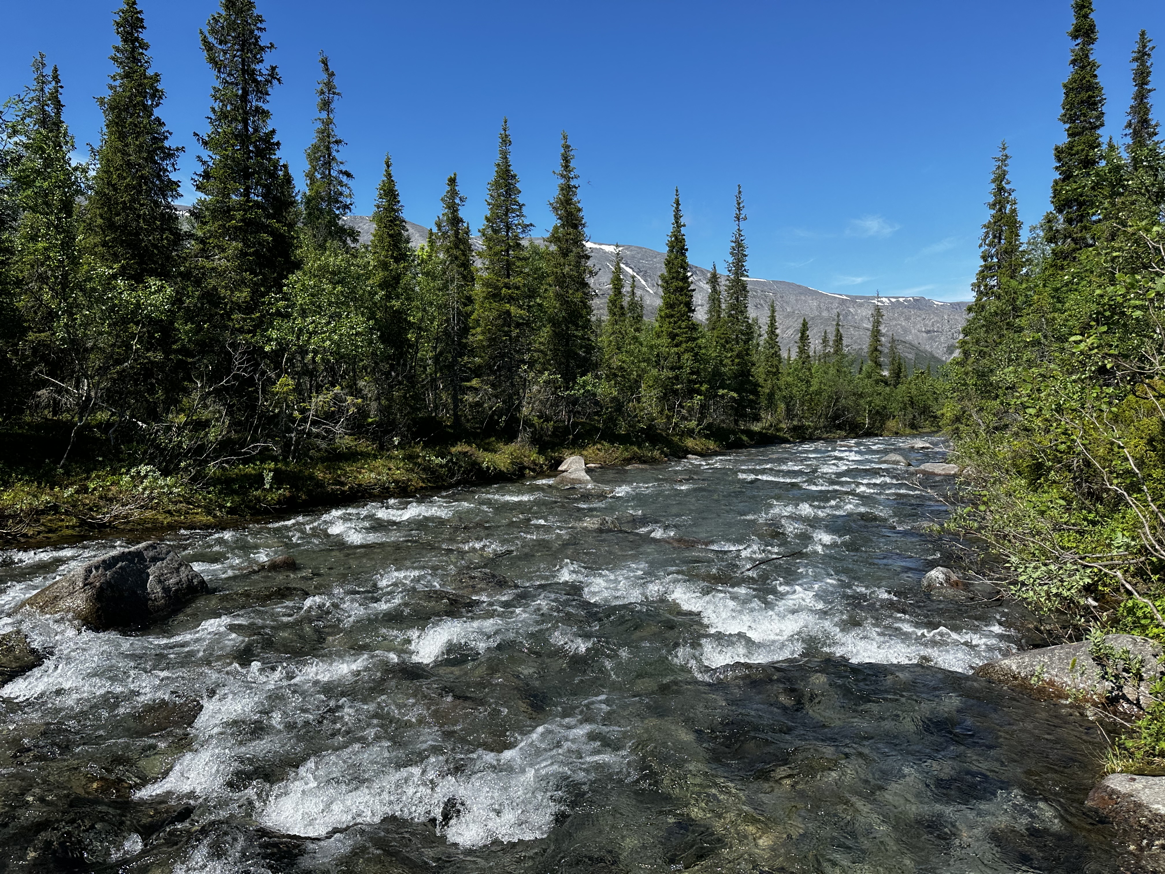 Хибины: однодневный джип-тур к подножью Куэльпорра (46/52)