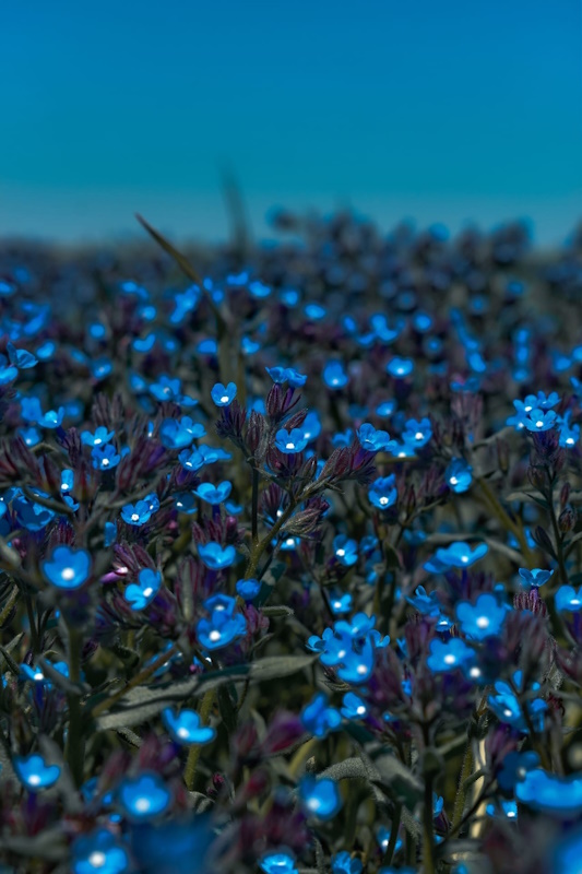 Антистресс: горы, море, пляжи. 7 дней. Все включено! (8/49)